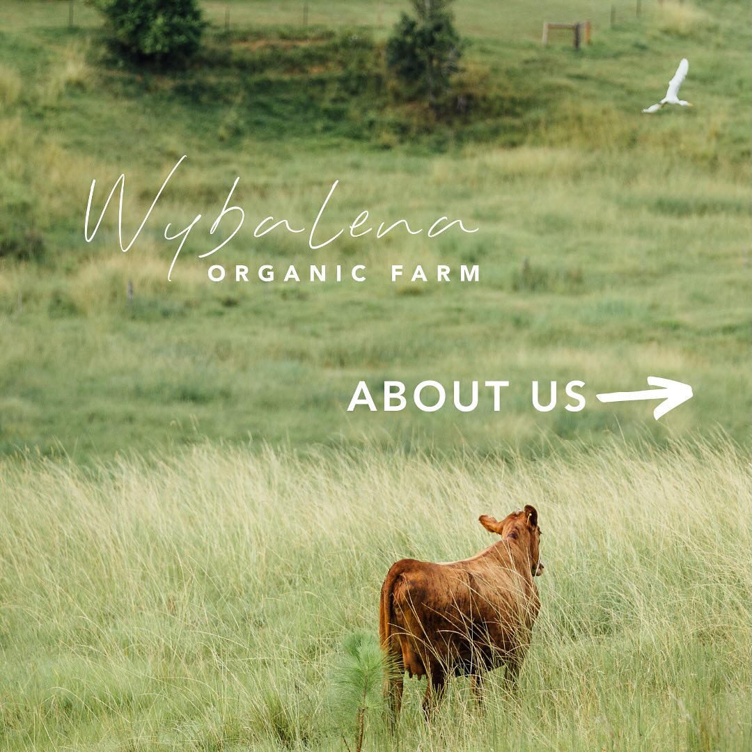 Welcome to Wybalena Organic Farm 🌿
To learn more about us please visit our website and access the host brochure ~ or email us at info@wybalenaorganicfarm.com.au