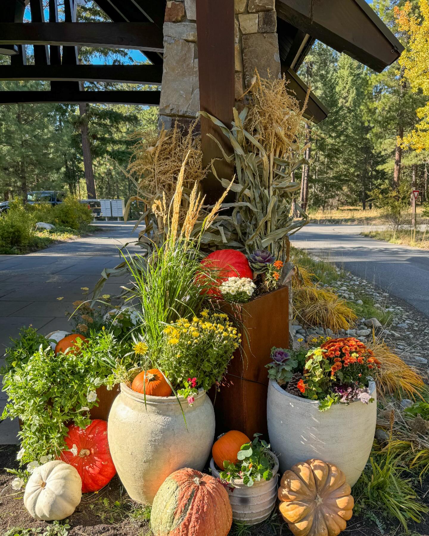 I love this work / little refresh at the Tumble Creek caretaker cottage🍁🙌 #prettyporch #autumnpots