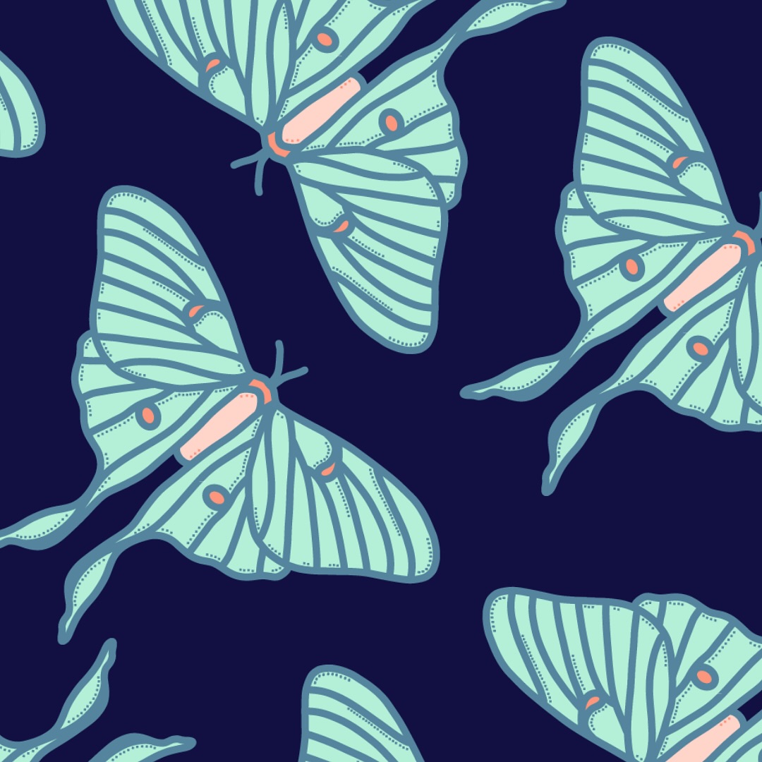 ✨I was introduced to luna moths on a pool deck. Huddled beneath a towel, the roar of the swim meet was completely interrupted by the quiet swoop of glowing mint. I’ve been mesmerized ever since.
I think that’s what art does. In essence, it stops us.
If you’re looking for an original design - for print, apparel, or a digital illustration, I got you. Head over to inklivity.com or email me at connect@inklivity.com to collaborate👏
_____
#inklivity
#graphicdesign
#digitalart