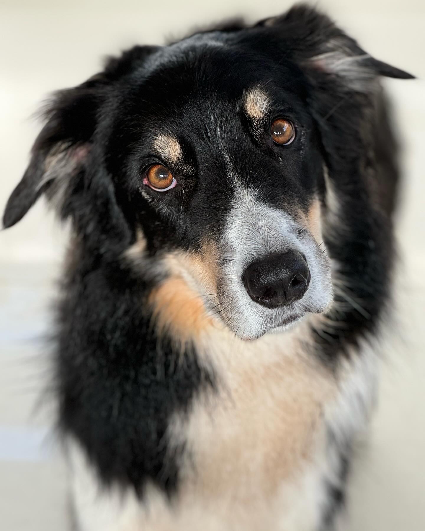 Just because ❤️❤️❤️❤️