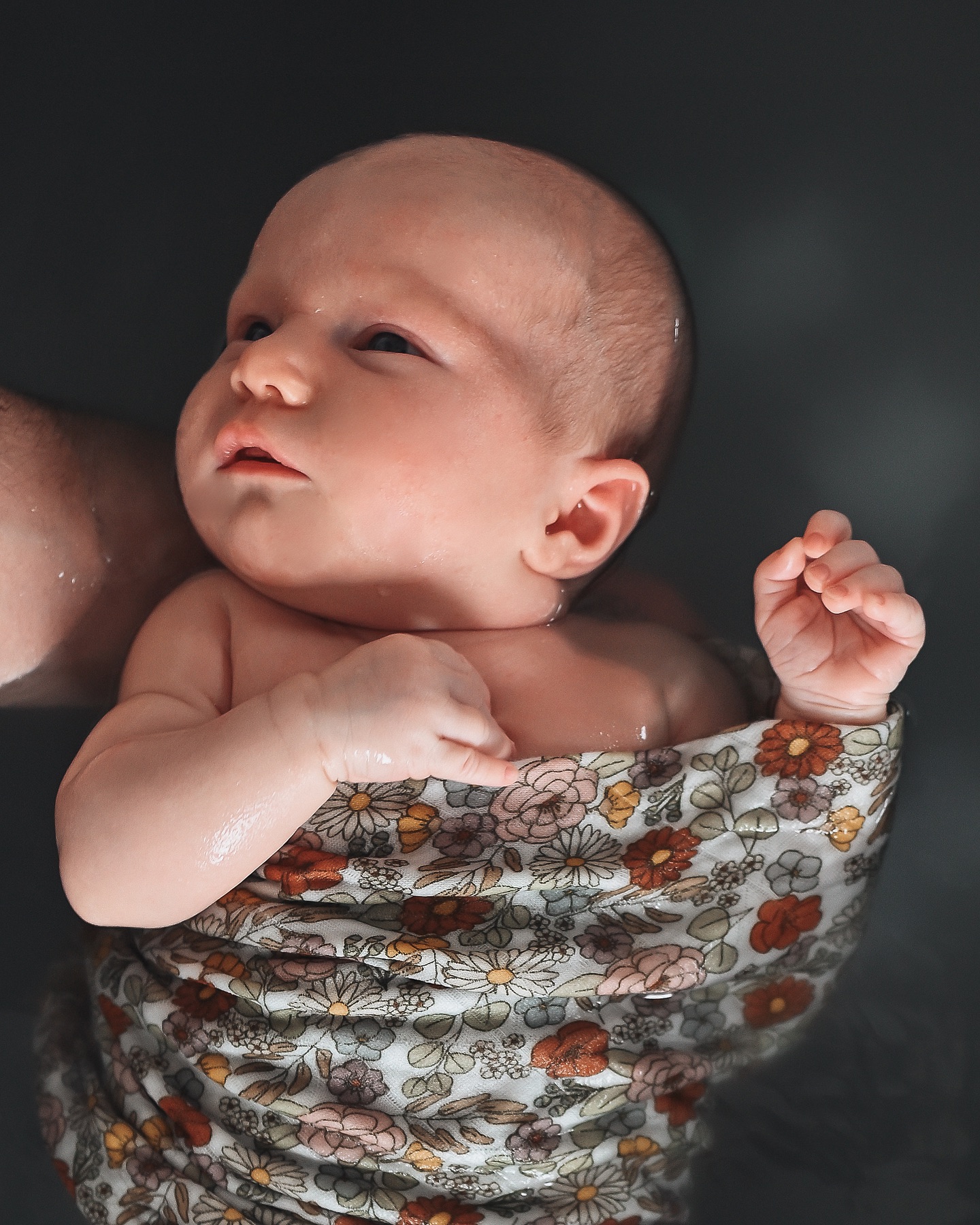 Pendant le bain enveloppé, votre bébé pourra s’endormir profondément ou au contraire rester éveillé, observer et vivre ce moment en pleine conscience.
C’est un moment d’apaisement également.
Vous verrez qu’il en sortira tout autant apaisé et détendu qu’en s’étant endormi.
Chaque bébé est différent. 💫
Ps : Vous avez vu ce lange juste magnifique ✨🤍
Vous aussi vous voulez réserver ou offrir un bain enveloppé photographié ? ✨
Je me déplace à votre domicile à Vitry-le-François, Saint-Dizier, Châlons-en-Champagne, Reims et alentours.
💌 lecoconiris@gmail.com
🌐 www.lecocondiris.com
☎️ 06 01 43 29 62
#bainenveloppé #bainenveloppereims #bebe #reims #bebereims #naissance #naissancereims #photographereims #photographenaissance #photographenaissancereims #maman #mamanreims #reimstagram #maternité #lange #douceur #amour #cocon #bain #bienetre #bienetrereims