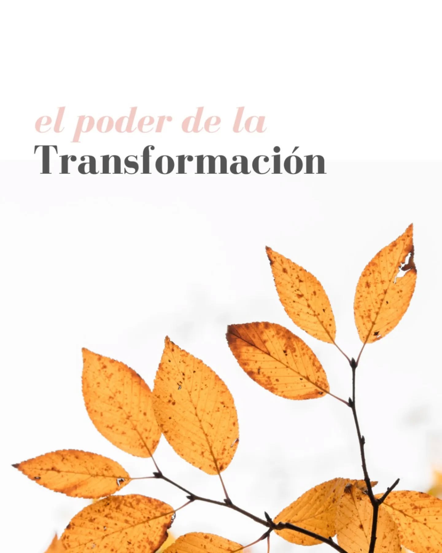 Así como los árboles dejan caer sus hojas para conservar su energía en el invierno, es momento de soltar lo que ya no necesitas y dar paso a una nueva versión de vos. 🍂✨
Desde aquí te ofrecemos herramientas que te ayudarán a transitar este proceso de transformación y crecimiento. 💛
¡El cambio comienza ahora!
#RenovaciónPersonal #HerramientasParaElCambio #BienestarEmocional #BienestarHolístico #Meditación #Reiki #soundhealing #yoga #Miami #florida
