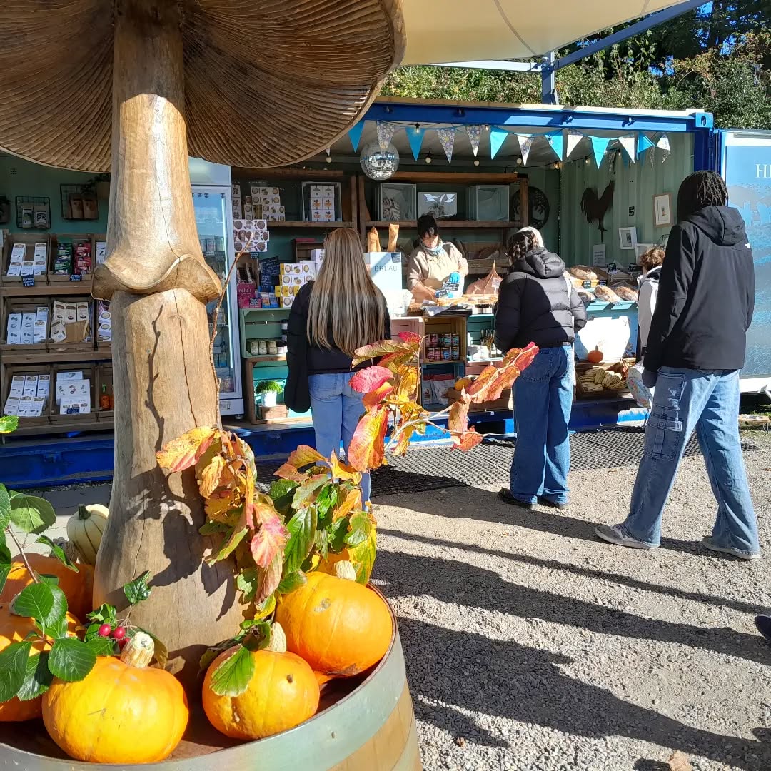 Windy wonderful autumn morning @airfieldestate. Perfect day for a hot bowl of soup made with delicious @dermot.carey #organic squash and @roundstonebakehouse fresh out of the ovenly world bread. We are open until 2.30 today. #limitededition #seasonal #farmersmarket #artisanbread #southdublinlife