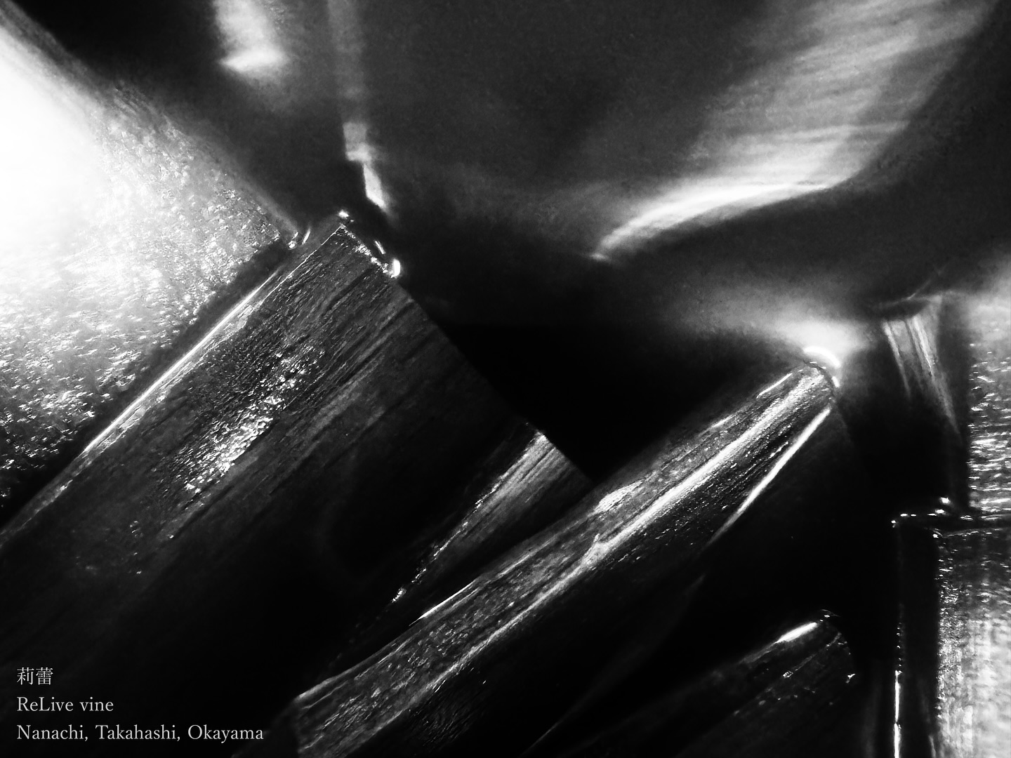 _Bon vin vs Délicieux
オークチップを入れて樽香を付けています。オークチップだと樽の木が持つ甘みなどは引き出されにくいのですが、樽の香りは相当付いてくれます。
このようにワインをワインらしくするための工夫がたくさんたくさんあって、それは「美味しいものを作る」というよりも、「ワインとして売るからにはいいワインを作る」という考えが源流にあるとも言えると思います。だけれども、もともと日本では、風土に沿って生み出されてきた葡萄酒の歴史と文化がそれほど確立されていたわけではありません。そこに西洋的な風土から築かれたワインの文化を流し込んだわけで、そうなると、日本の風土に根ざした生活をしている多くの人にとっては、いわゆる「いいワイン」を「美味しいもの」「ゆたかなもの」に紐づけるのは無理があるのかもしれないと思うことが、よくあります。
「ワイン」としては欠陥臭と言われる臭いでも、日本人には別に気にならないかもしれないし、ぶどうの特徴を削って削って仕上げる白ワインよりも、全房で仕込んだお茶のような白ワインの方が、奥深くて美味しいと思う日本人は多いのかもしれません。なんてよく思うのです。
Now someone is using oak chips to give the wine a barrel-like aroma. While they don’t bring out the sweetness of actual barrels, they do provide a strong barrel scent. There are many such techniques to make wine more “wine-like,” and the goal isn’t just to create something delicious but to make a wine worthy of being sold as a good wine. However, Japan’s history and culture of winemaking, shaped by its unique climate, isn’t deeply established. So, when we bring Western wine culture into this context, it sometimes feels forced to link the idea of “good wine” with something rich and delicious for many people in Japan. What might be considered a flaw in Western wines could go unnoticed here, and some may even prefer white wines made with whole clusters, reminiscent of tea, over those heavily polished for refinement.
【莉蕾|ReLive vine】
岡山県高梁市でぶどう農家をしている @itsuki_ll が、ワインの風景を歩んでいく日々を記録。現在樹齢と研修一年目。蕾から美しい花が生まれるように、いつの日か、この日々が、ワインやその先の風景に繋がっていくようにという祈りを込めて「莉蕾(りらい)」と名付けた。
ReLive vine with @itsuki_ll documents the daily life of a grape farmer in Takahashi City, Okayama, Japan, as they walk alongside wine. Currently in the first year of both vine age and training, the hope is to one day create grapes and wines that evoke the memory of the landscape. With a prayer that this will eventually lead to an unrecognizable landscape, the endeavor was named "ReLive vine".
#ワイン #農家 #醸造 #ぶどう #農業 #自然 #秋田犬 #甲斐犬 #岡山 #日本の風景 #Wine #Winemaking #Grapes #Farming #Nature #Akita #KaiKen #JapaneseLandscape #Vin #Vinification #Raisin #Agriculture #ChienAkita #ChienKai