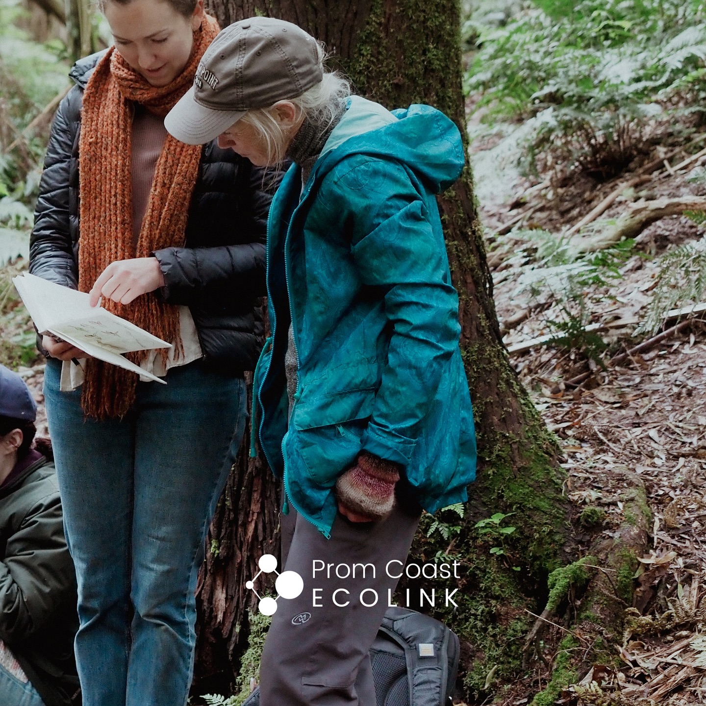 It’s here! Nature Journalling & Slender Tree-fern Walk at @tarwin_river_forest is on this Saturday.
With only 3 spots left, now is the time to RSVP if you are hoping to come!
For those who have RSVD’d, you should have received an email with some important details including the address of where to park (reach out if it didn’t come through). This is clumsy, but we ask that you please BYO your campfire lunch as opposed to bringing a plate, which was sent in error.
🌿 What is nature journalling?
Nature Journalling is observing nature closely and making a record for yourself of what you notice. It can be a photograph, a few words or sketches. Recording something in this way makes you notice the details! Don’t worry - no experience is necessary and you don’t have to share your observations - they are to help you remember.
If you would like guidance in your journalling, we will have prompt cards & art tutors available, but please bring your own camera/sketchbook/notebook/markers. There will be a choice of different forest walks, guided by our botanical and ecological experts.
We will also have handmade, watercolor paper sketchbooks made by our member Megan available for $25.
See you there !
#promcoastecolink #biolink #natureCorridor #southgippsland #southgippslandshirecouncil #biodiversity #ecology #australianecology #AustralianWildlife #wildlifecorridor #wilsonspromontorynationalpark #wilsonsprom #hoddleranges #walkerville #buffalo #tarwinriverforest #waratahbay #fishcreek #fostervic #fosternorth #greatsouthernrailtrail #wonga #woorarra #mountbest #boolarong #turtonscreek #Darlimurla #boolarra #naturejournalling #naturebathing