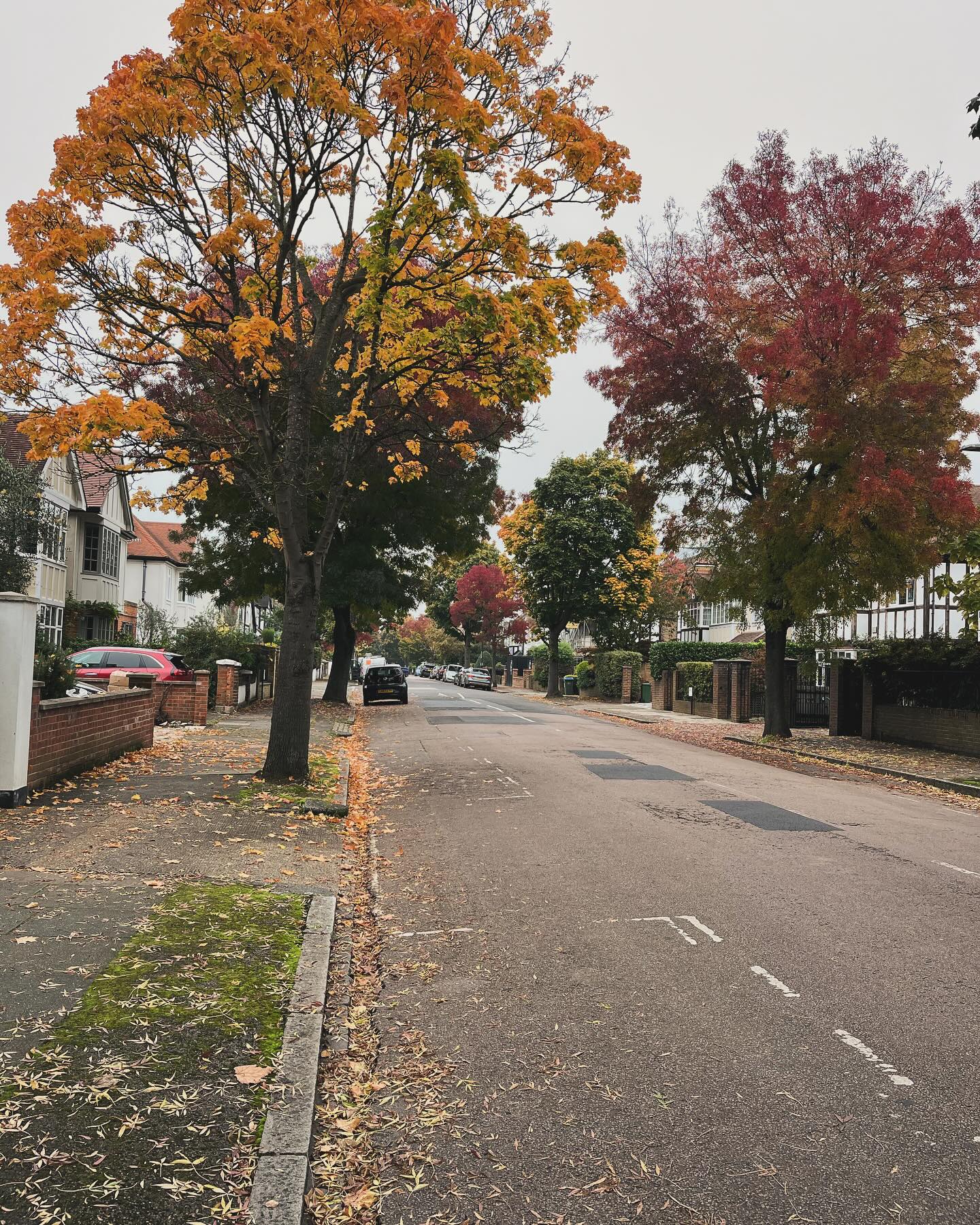 The impermanence of life. Everything changes and we adapt to it or at least we try.