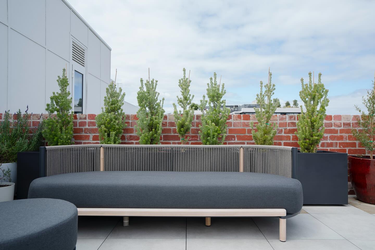 Lt Miller one of our latest roof top gardens we designed and Installed looking a treat! Send your inquiries to Anna at anna@lygonstnursery.com to arrange a consult for your landscape project. 📷 : @ishmael.martinnn Pots: @onthesidehome #lygonstnursery #lygonstlandscapes #pots #balconygarden