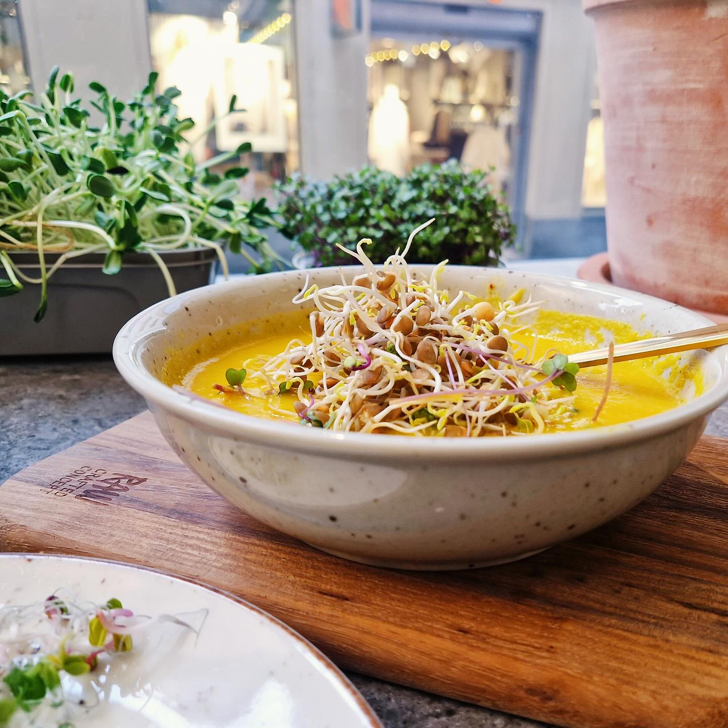 Ett enkelt sätt att boosta dina soppor i höst är att lägga till groddar och skott 🌱
En vacker och smakrik garnityr som har det där lilla extra! Perfekt till varma, mustiga soppor som linssoppa, pumpasoppa eller grönsakssoppa.
Har du testat att ha groddar i din soppa? 😋🌱
#nyttogrönt #solrosskott #Groddar #soppa #närodlat #frånsverige #eko #eloligiskt #MatInspiration #EnkeltOchGott