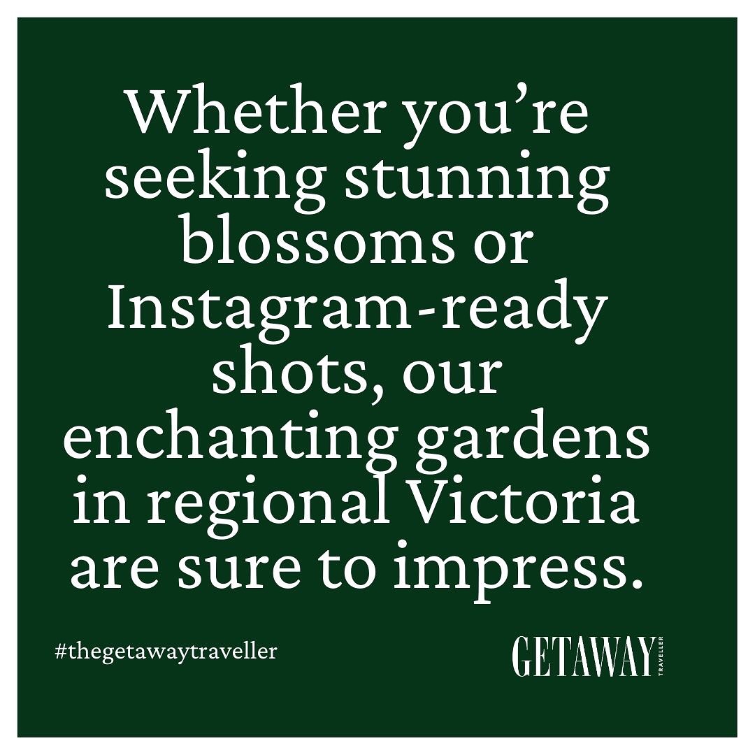 Whether you’re seeking stunning blossoms or Instagram-ready shots, our enchanting #garden s in regional Victoria are sure to impress.
There’s nothing like regional Victoria
#gardenstyle #garden #opengardens #beautiful #regionalvictoria #thegetawaytraveller
