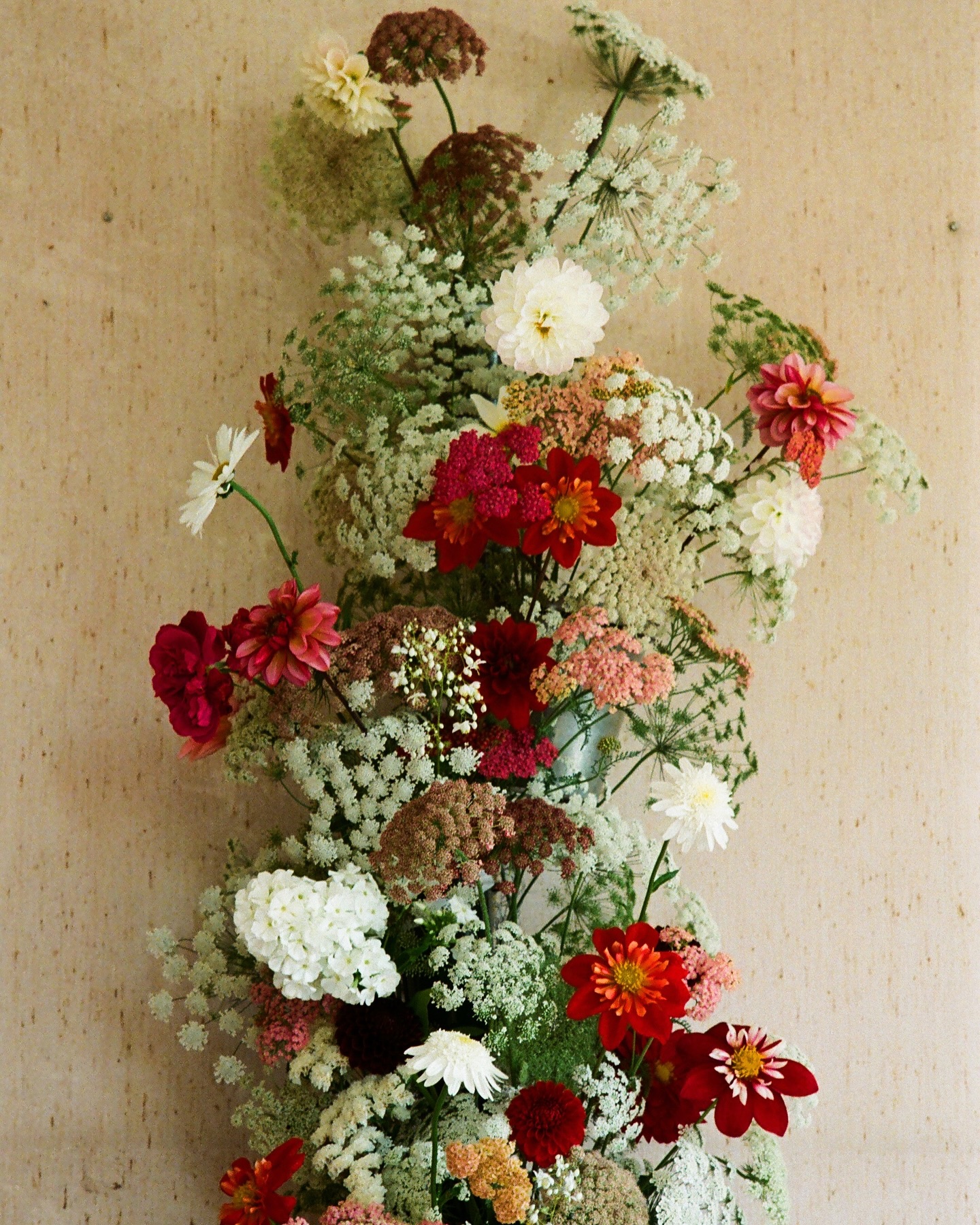 Playing with film!
Merci @albe_editions de m’avoir laissé ressortir mon vieil argentique sur ce shooting! ( délaissé depuis mes années Beaux-Arts)
Avec une belle équipe DA @albe_editions Modèle: @leonie.legentil
Mua: @cassheton.mua
Stylisme floral @freyajoygardenflowers
Papeterie@maisonjune.fr Robes et tenues @amour.collective amour.collective @cymbelineparisofficiel @maisonsegolenedeguibert
@mondialtissus Chez Ginette et Roger ❤️