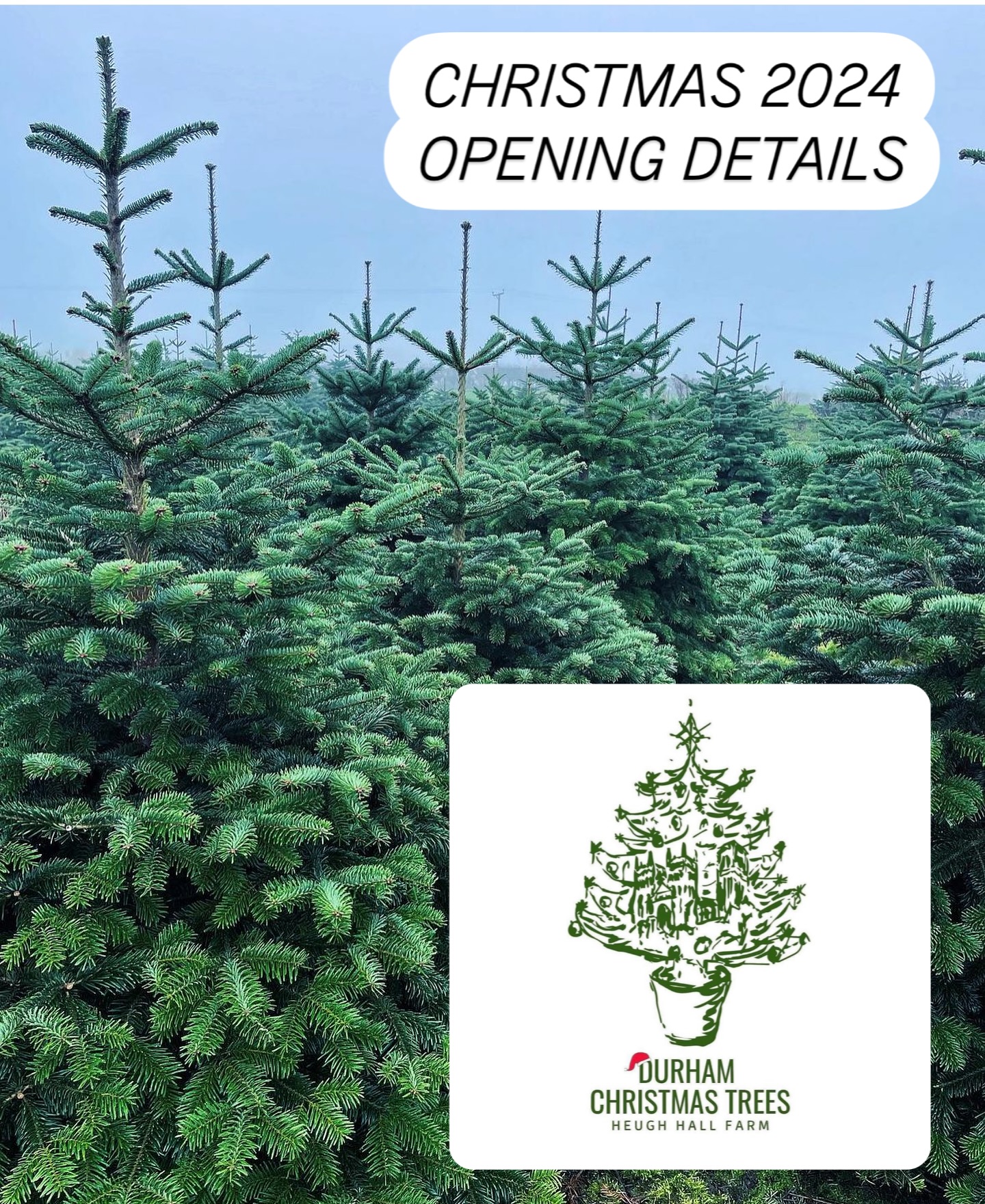 🎄Durham Christmas Trees are back for 2024, with our best selection of PYO trees yet🎄 Opening Saturday 23rd November 2024 📆
🌟 Durham’s only Pick Your Own 🪚 Christmas Tree farm.
Our online booking system will go live on our website durhamchristmastrees.co.uk this week on Wednesday 23rd October at 7pm.
🌟 OPENING DATES & TIMES 2024, 10.30pm - 3.30pm each day 🌟
🎄 SATURDAY 23rd NOVEMBER
🎄 FRIDAY 29th NOVEMBER
🎄 SATURDAY 30th NOVEMBER
🎄 SUNDAY 1st DECEMBER
🎄 FRIDAY 6th DECEMBER
🎄 SATURDAY 7th DECEMBER
🎄 SUNDAY 8th DECEMBER
🌟 TREE PRODUCTS / SERVICES 2024 🌟
🎄PICK YOUR OWN plantation - Norway Spruce and Nordmann Fir. Dogs are welcome on a lead and refreshments will be available.
🎄FRESHLY CUT Nordmann Fir 5ft - 12ft & Christmas Tree stands will be for sale
🎄CLICK AND COLLECT - message us with your requirements and we can choose the perfect tree for you
Check out our website for further details durhamchristmastrees.co.uk
We look forward to seeing both new and returning customers soon 😊🤞🏻🎄
#outdooractivities #locallysourced #freshlycut #pickyourown #PYO #durham #christmastrees #northeast #durhamchristmastrees #heughhallfarm #smallbusiness #christmasiscoming #nordmann #fir #norway #spruce