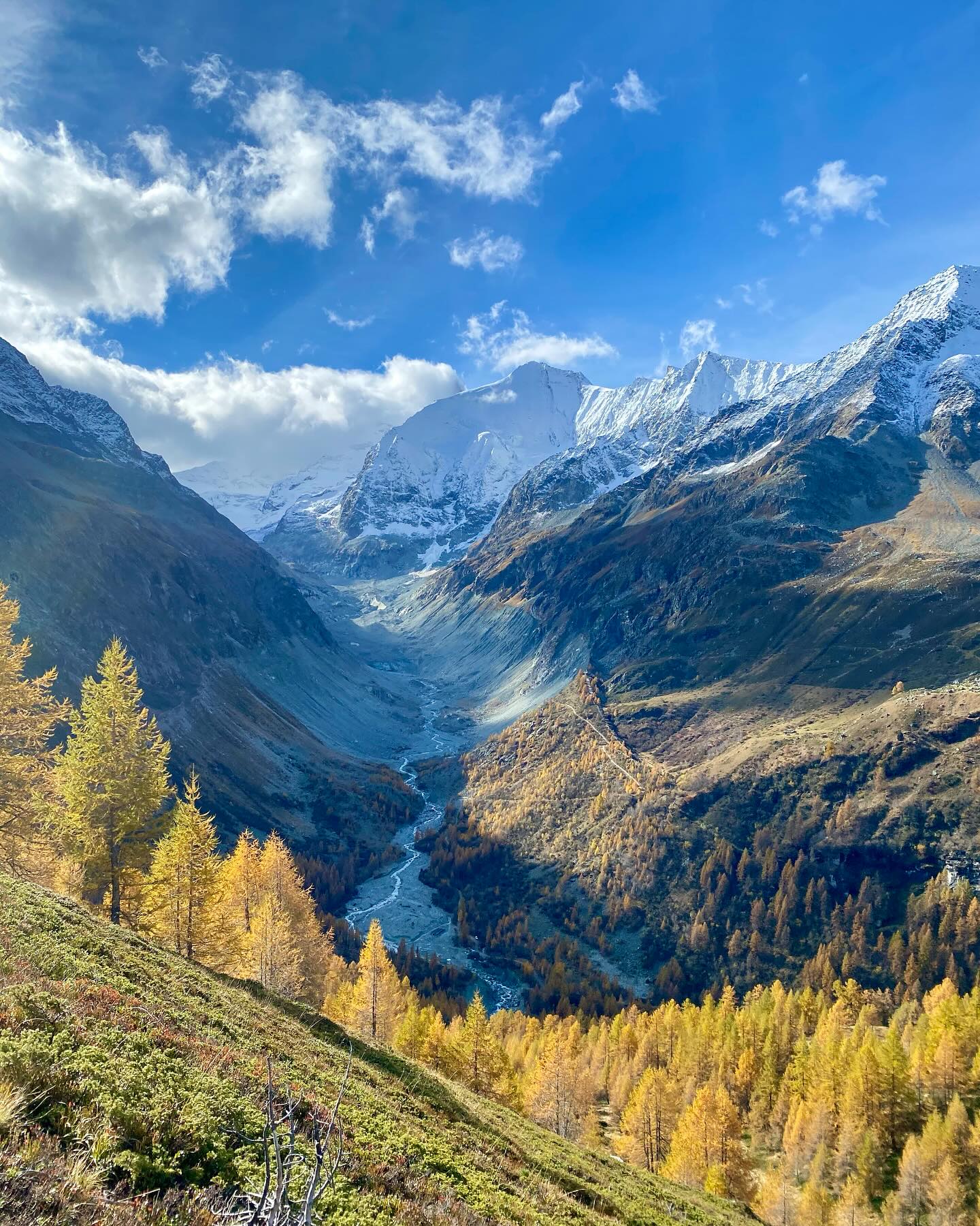 A perfect weekend for our last “Summer Guests” of the season 🍁
📸Taking advantage of the great weather on one of our favourite autumn loops up to the Lac d’Arpittetaz via the Pas du Chasseur scramble ⭐️⭐️⭐️⭐️⭐️
#autumn #autumncolours #running #trailrunning #trailrunningswitzerland #hiking #hillwalking #valdanniviers #zinal #swissalps #alpine #alpineadventures #explore #discover #wilderness #getoutside #thegreatoutdoors
