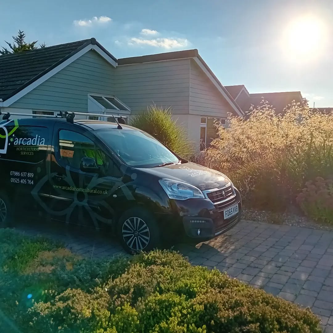 Gratuitous van shot surrounded by my mum and dad's award-winning front garden.