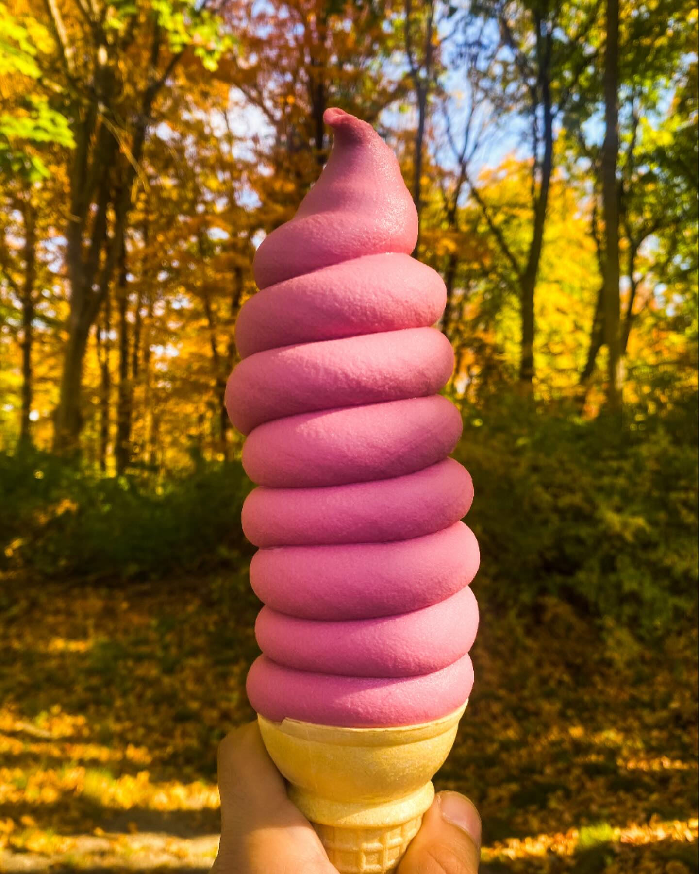 // Summer, is that you again??? It’s me, Raspberry🩷 Open until 9pm🍦
#ScoopsNMore #icecream #icecreamcone #yummy #summer #fall #autumn #dole #dairyfree #glutenfree #hudsonvalley #upstateny #carmelny