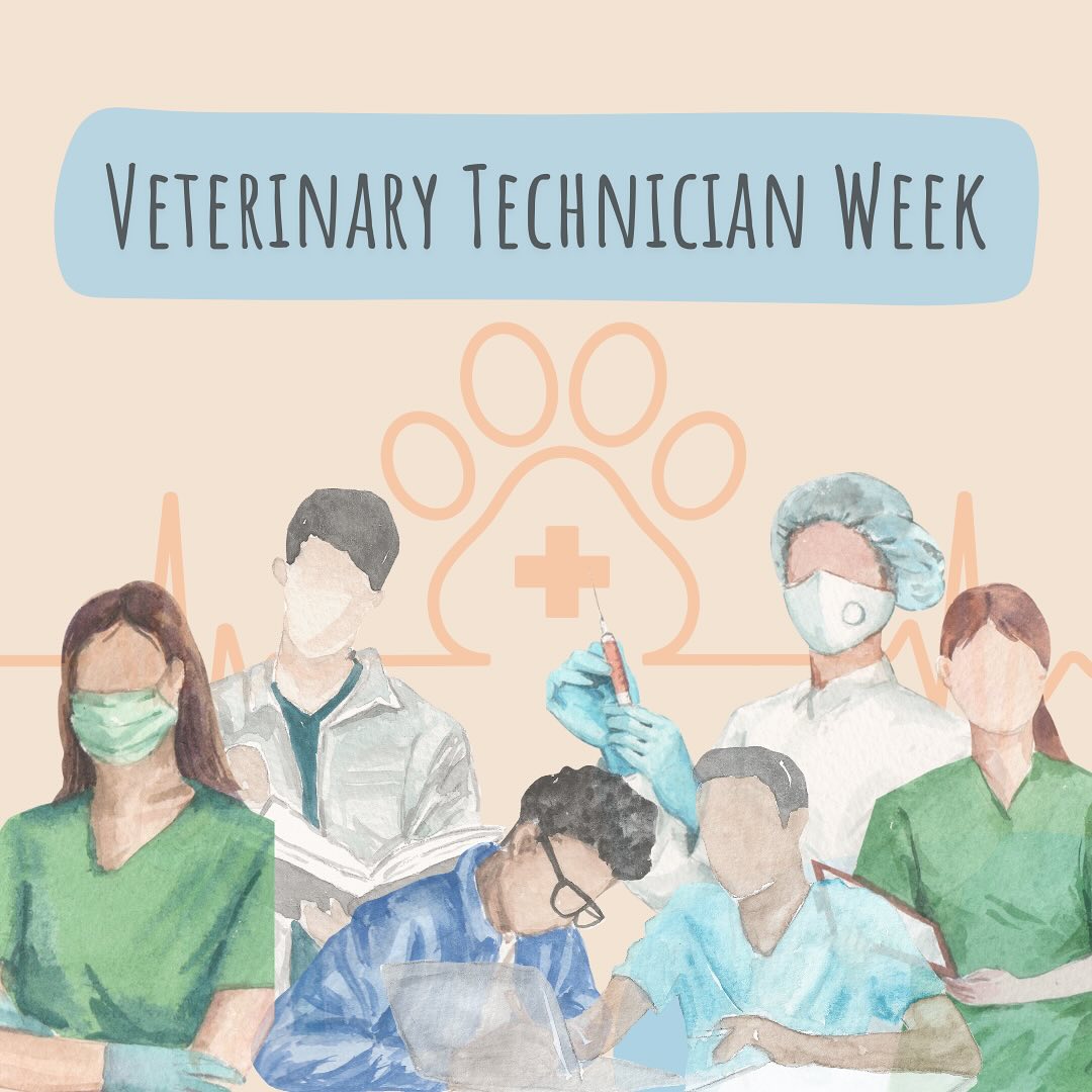 Was Vet Tech week last week? Yes.
Were we all too overwhelmed with our new software system to post about it? Also yes.
Good thing our technicians deserve recognition every week!
Thank you for everything you do! We couldn’t practice medicine without you!
(hence why we’re having tech week 2.0. 7 days just isn’t enough for all your hard work😉)