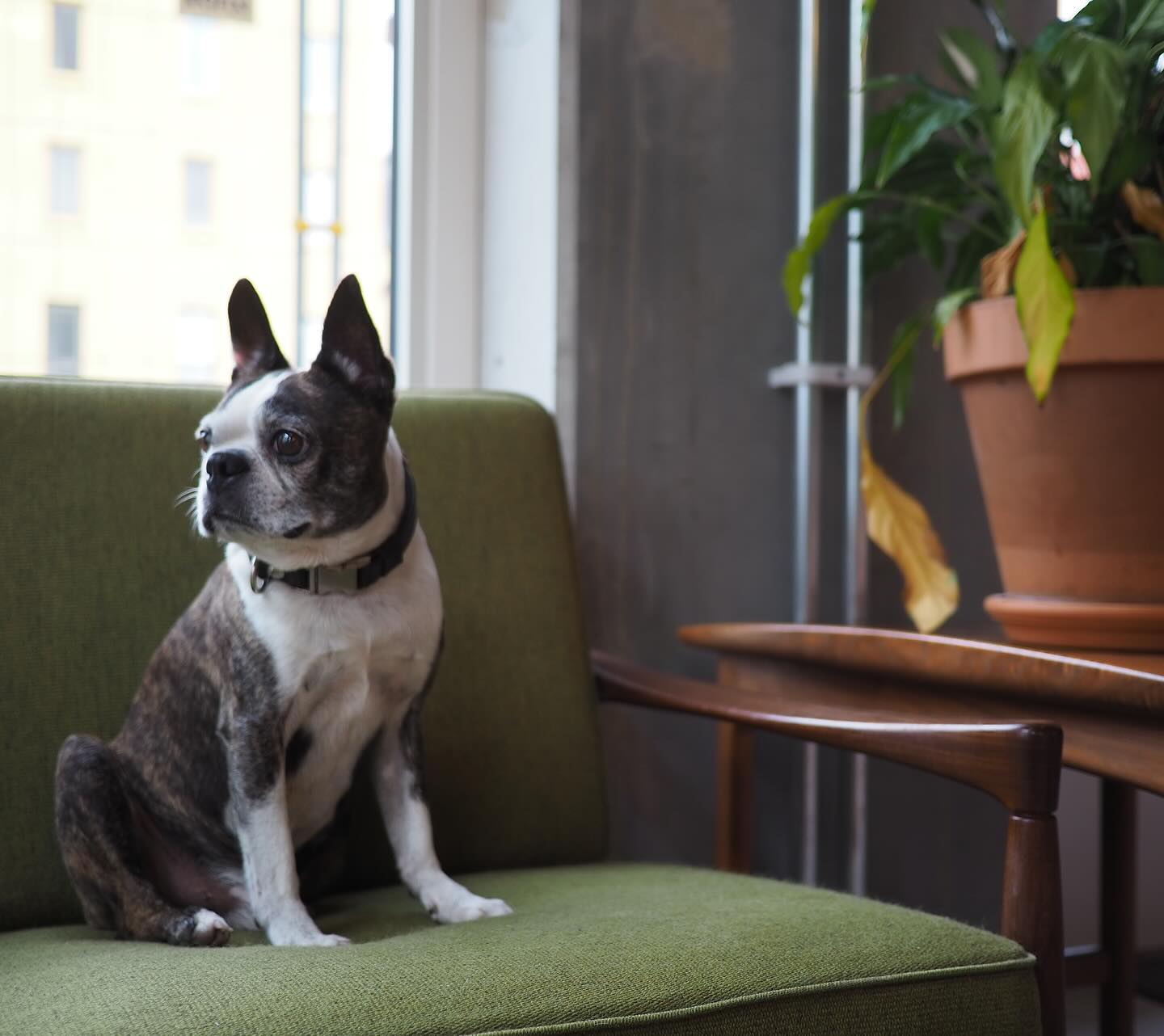 Muttley och Jack, duon som har ett kafferosteri ute i Stockholms skärgård och nu, en egen kaffebar på Södermalm!
Hur började allt och hur vågar man satsa? Och vad kan vi göra för att väcka mer stolthet i baristayrket.
Läs hela intervjun på vår blogg!
Nytt avsnitt av rRebel Talk ute nu ☕️
.
.
.
.
.
.
.
.
.
.
.
.
.
.
#lineamicra #lamarzoccohome #coffee #homebarista #rrebelworks #specialtycoffee #specialkaffe #handmadeinflorence #rrebel #lamarzocco #hökarängen #kaffebar #rosteri #muttleyandjacks