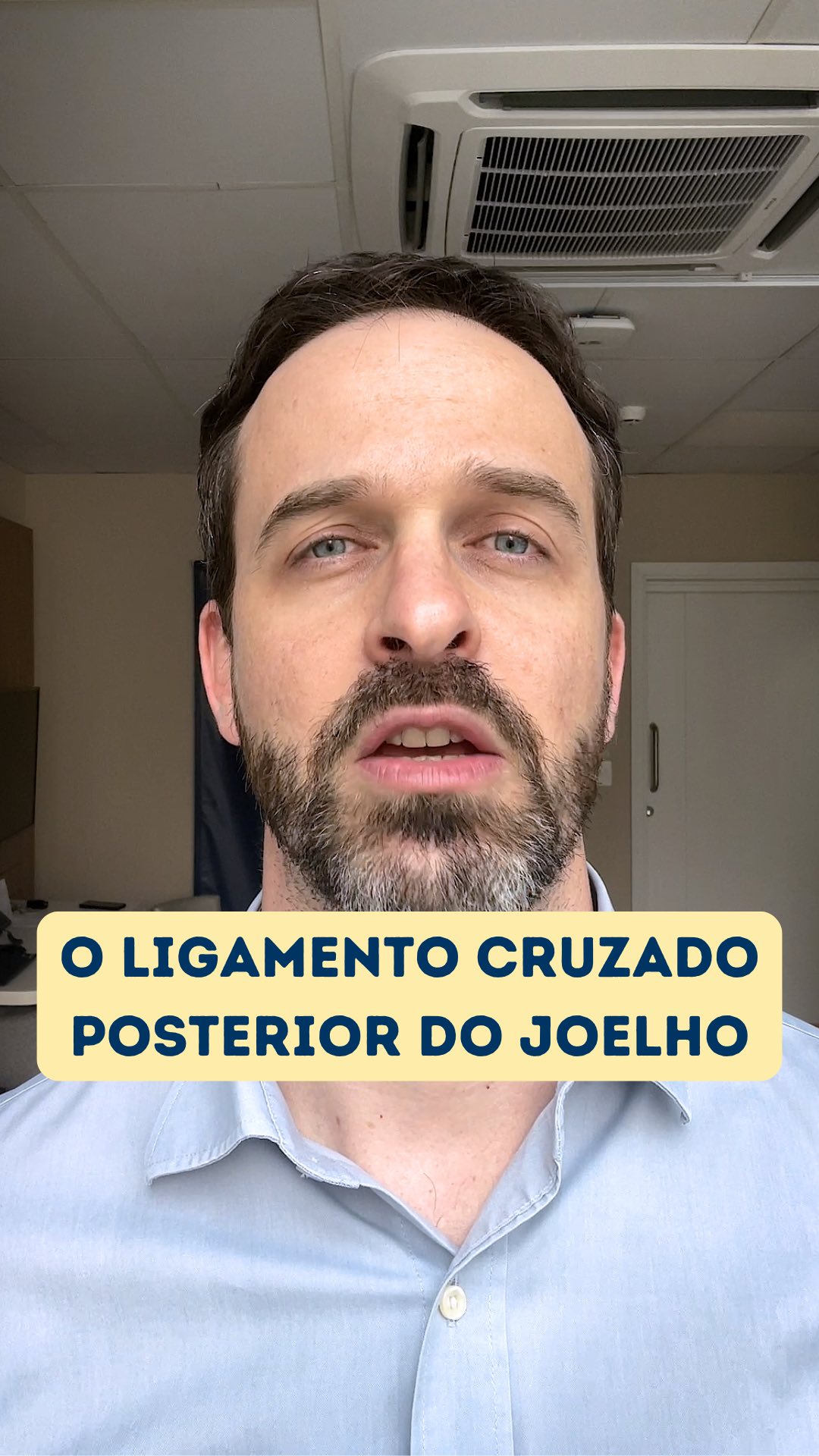 ✨O ligamento cruzado posterior do joelho. #joelho #ligamentocruzadoposterior #lcp