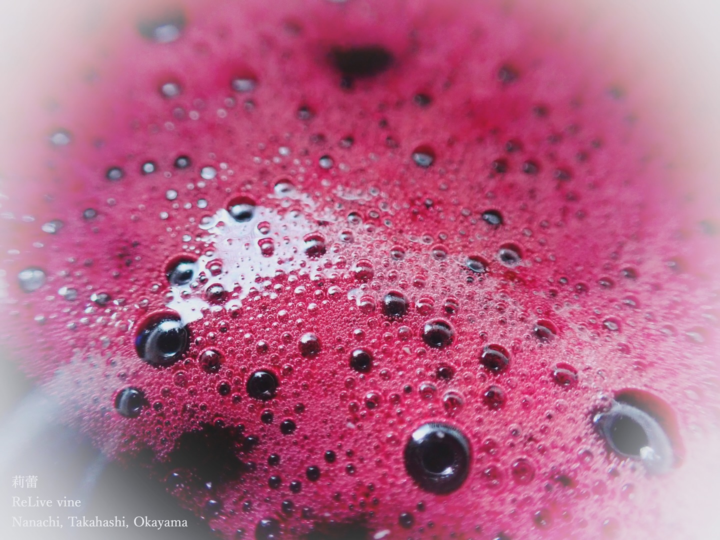 _La beauté des bulles d’aération
発酵させている酵母たちが酸欠にならないように、時折混ぜて空気を入れてあげなきゃいけません。ポンプを用いて空気に触れさせると、美しい泡を見ることができます。特に発酵中は、毎日香りが変化していくので、とっても面白いです。興奮の連続です。
To prevent the yeast from becoming oxygen-deprived during fermentation, they occasionally need to be stirred to introduce air. Using a pump to expose them to the air, we can see beautiful bubbles form. It’s especially fascinating during fermentation because the aroma changes daily. It’s an exciting process full of continuous discoveries.
【莉蕾|ReLive vine】
岡山県高梁市でぶどう農家をしている @itsuki_ll が、ワインの風景を歩んでいく日々を記録。現在樹齢と研修一年目。蕾から美しい花が生まれるように、いつの日か、この日々が、ワインやその先の風景に繋がっていくようにという祈りを込めて「莉蕾(りらい)」と名付けた。
ReLive vine with @itsuki_ll documents the daily life of a grape farmer in Takahashi City, Okayama, Japan, as they walk alongside wine. Currently in the first year of both vine age and training, the hope is to one day create grapes and wines that evoke the memory of the landscape. With a prayer that this will eventually lead to an unrecognizable landscape, the endeavor was named "ReLive vine".
#ワイン #農家 #醸造 #ぶどう #農業 #自然 #秋田犬 #甲斐犬 #岡山 #日本の風景 #Wine #Winemaking #Grapes #Farming #Nature #Akita #KaiKen #JapaneseLandscape #Vin #Vinification #Raisin #Agriculture #ChienAkita #ChienKai