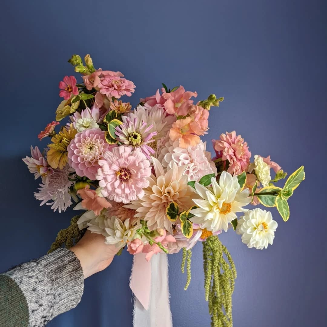 A palette of pastel perfection😍
.
.
.
.
.
.
.
.
.
.
.
.
.
.
.
.
#pastelflowers #pastelbouquet #pastelbridalflowers #wildflowerbouquet #whimsicalbouquet #freshbouquet #fingerlakesflowers #fingerlakesflowerfarm #fingerlakesweddingflorist #rochesterweddingflorist #fingerlakesweddings #summerbouquet #freshflowers
