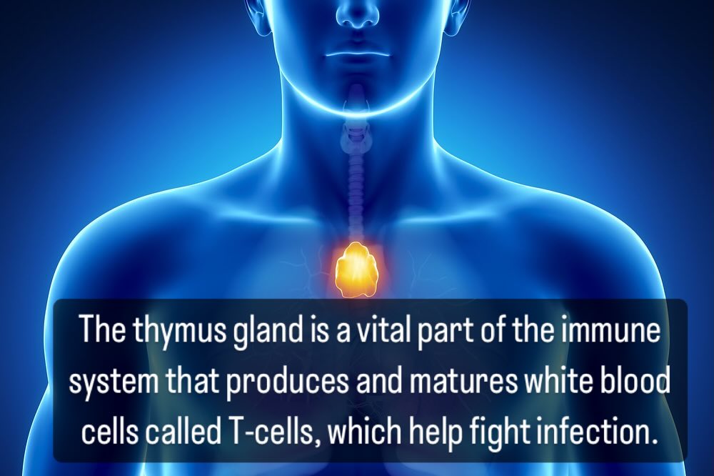 I am definitely going to focus more on counting my blessings. Scripture reminds us frequently to cast your cares on the Lord. This is for our benefit! Prayer is a positive act. Ask God for forgiveness and thank Him for it as it is freely given. It’s amazing that, through this act of obedience and adoration for our creator, our physical health is affected.
#immunity #naturalhealing #prayerworks
