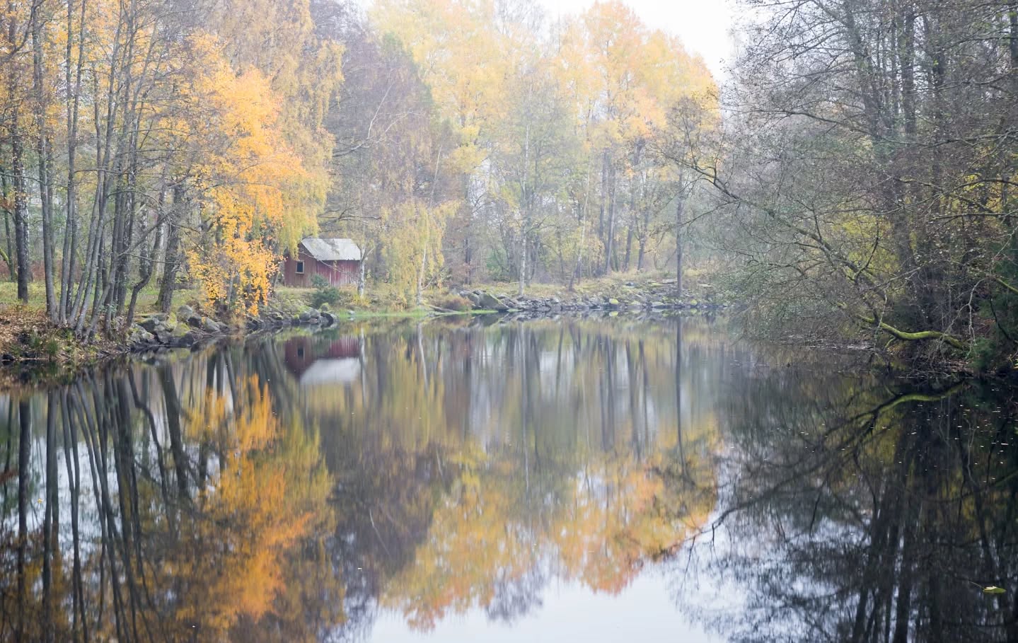 Autumn feelings.
#innature
#innaturephotos
#autumnfeeling
#misty
#mistymorning
