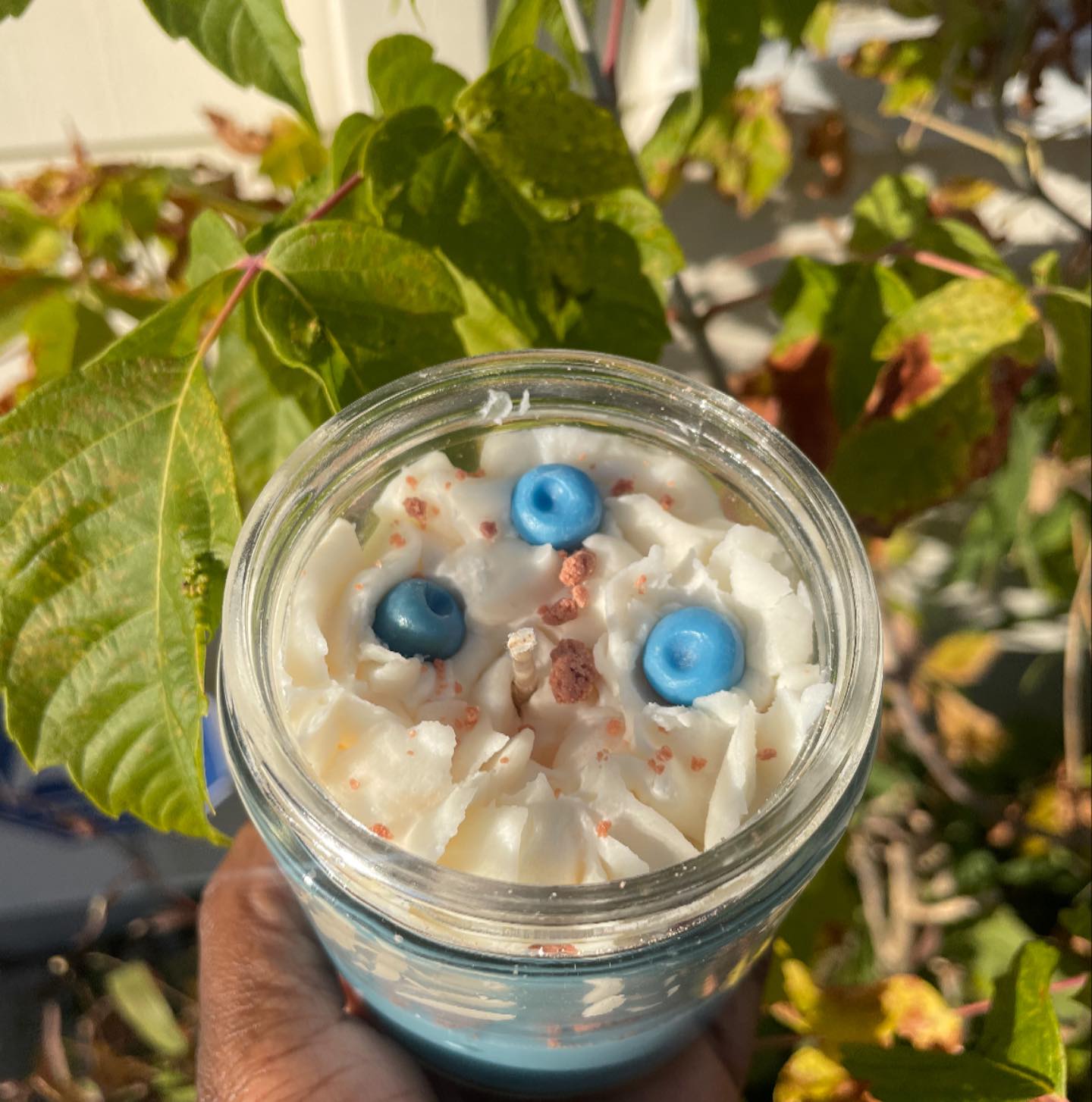 ๐ซ Blueberry cobbler fall fanโs favorite is back !