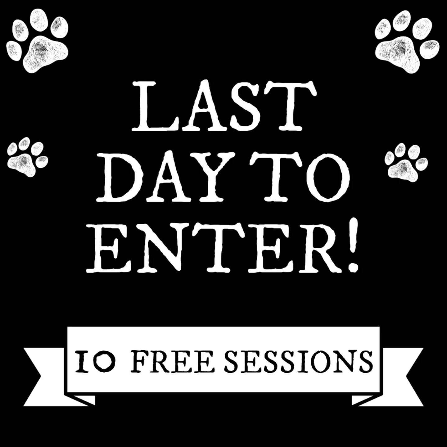 Winner to be announced tomorrow 🤞
#competition #cirencester #dogfield #dogtraining #dogs #SecureDogField #bestinfieldewen
