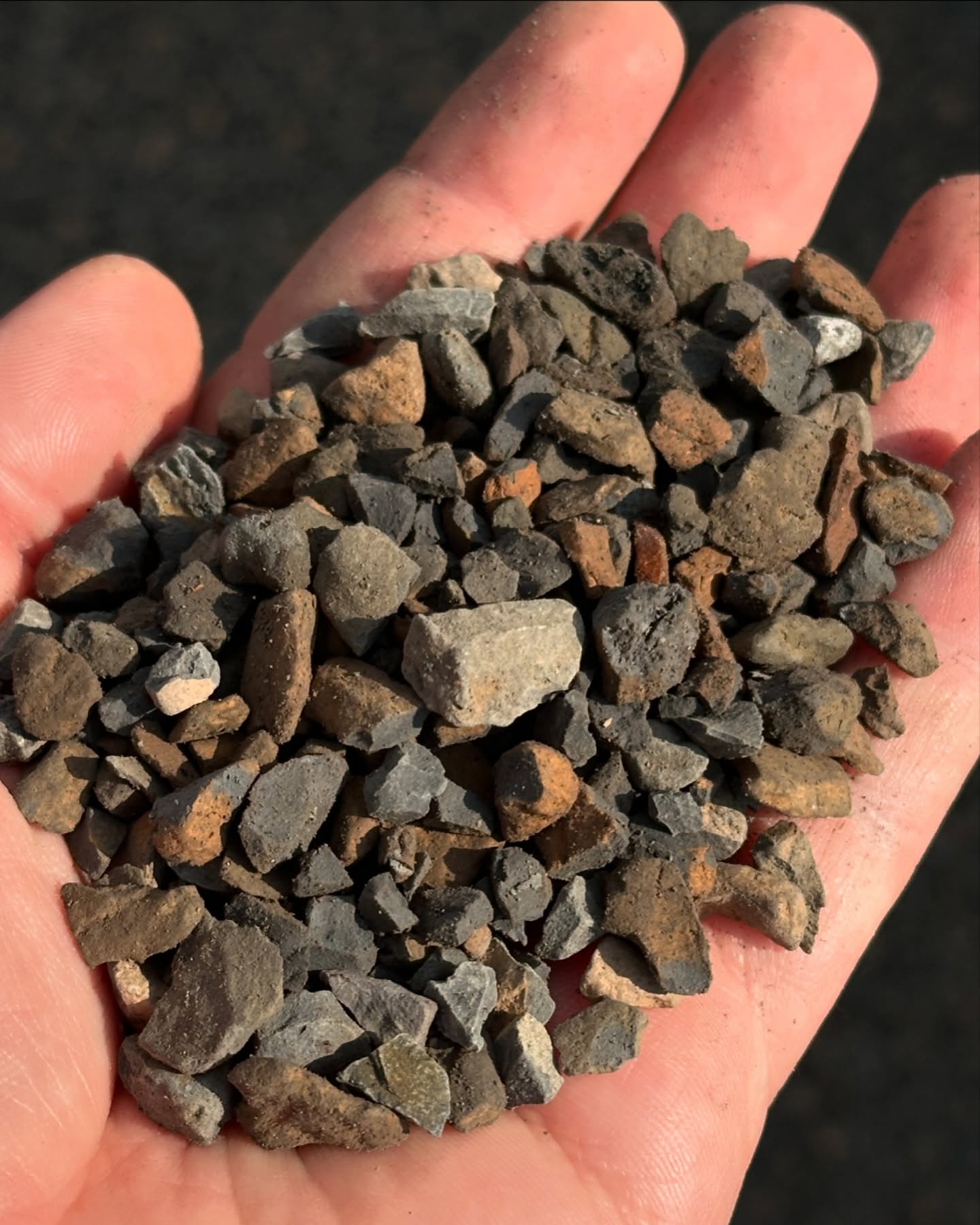 Have you heard about EarthMix EnLighten? Expanded shale is a fantastic medium for adding drainage to stubborn spots in your garden, it also makes a wonderful filter media for ponds and natural swimming pools! Visit our website for a blog post all about this useful material.
#gardening #naturalpool #expandedshale #earthmixgrows