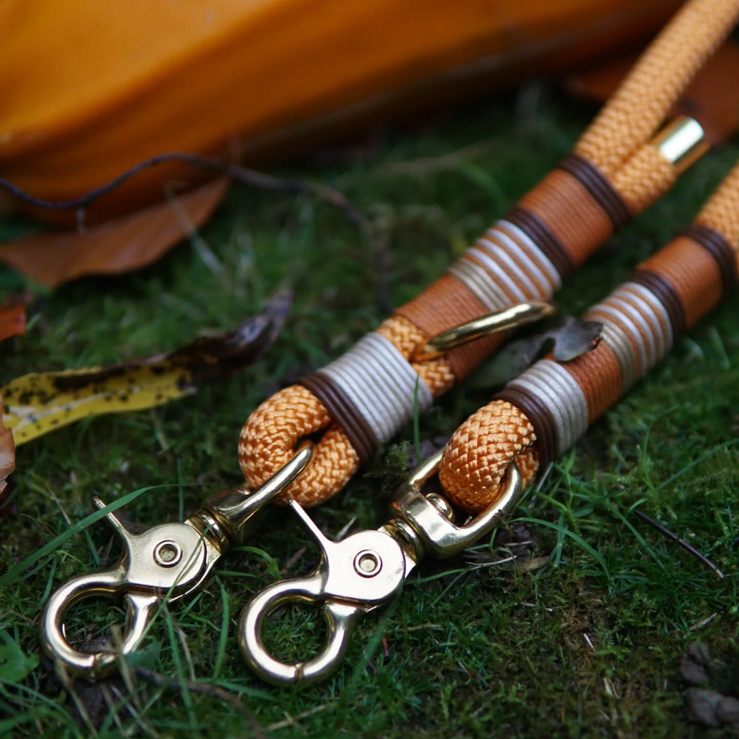 🍁 Zeit für Herbstspaziergänge!🍁🐕
Die Tage werden kürzer, die Blätter färben sich bunt – die perfekte Jahreszeit, um mit deinem Vierbeiner die Natur zu genießen. Genau für diese Momente haben wir unsere neuen Leinen und Halsbänder entworfen. 🍂🍁🐕
Ab morgen ist unsere neue Kollektion auch Online erhältlich 😊
Auf dem Bild erkennt ihr übrigens unsere Model "Moritz".
#tauleinen #neuekollektion #herbstkollektion #leineninherbstfarben #hundeleinen #Tauprodukte #leinenliebe #leinenmalanders #robustehundeleinen #Hunde #Herbst #herbstfarben #herbstsparziergang #hundeacessoires #hundespaziergang #wunschleinen