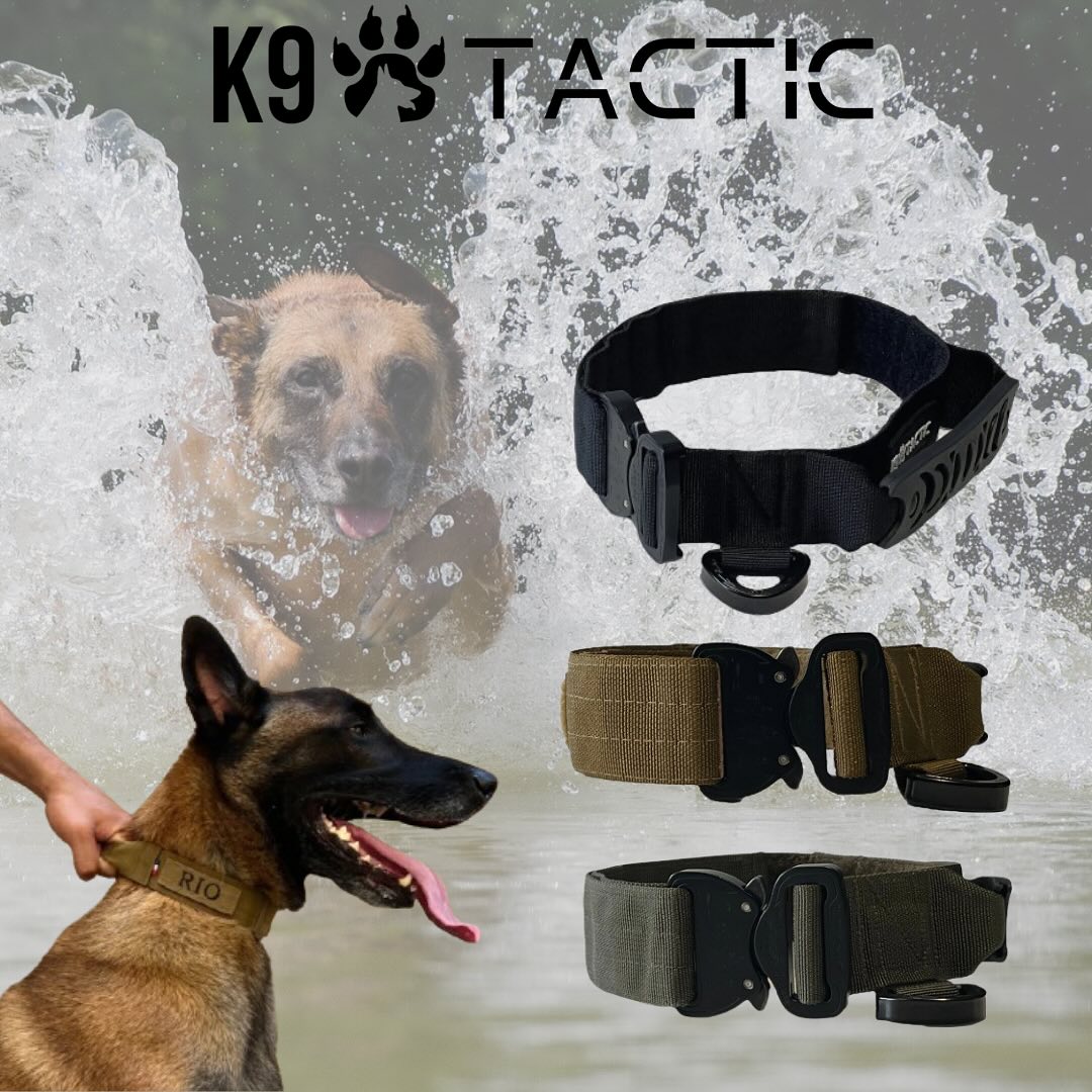 🐕 Collier d’intervention pour chien ultra résistant de haute qualité qui résiste aux conditions les plus extrêmes 💪
🇫🇷 Fabrication et savoir faire français 🇫🇷
🎃 -40% avec le code HALLOWEEN40 🎃
➡️➡️➡️ www.k9-tactic.com ⬅️⬅️⬅️