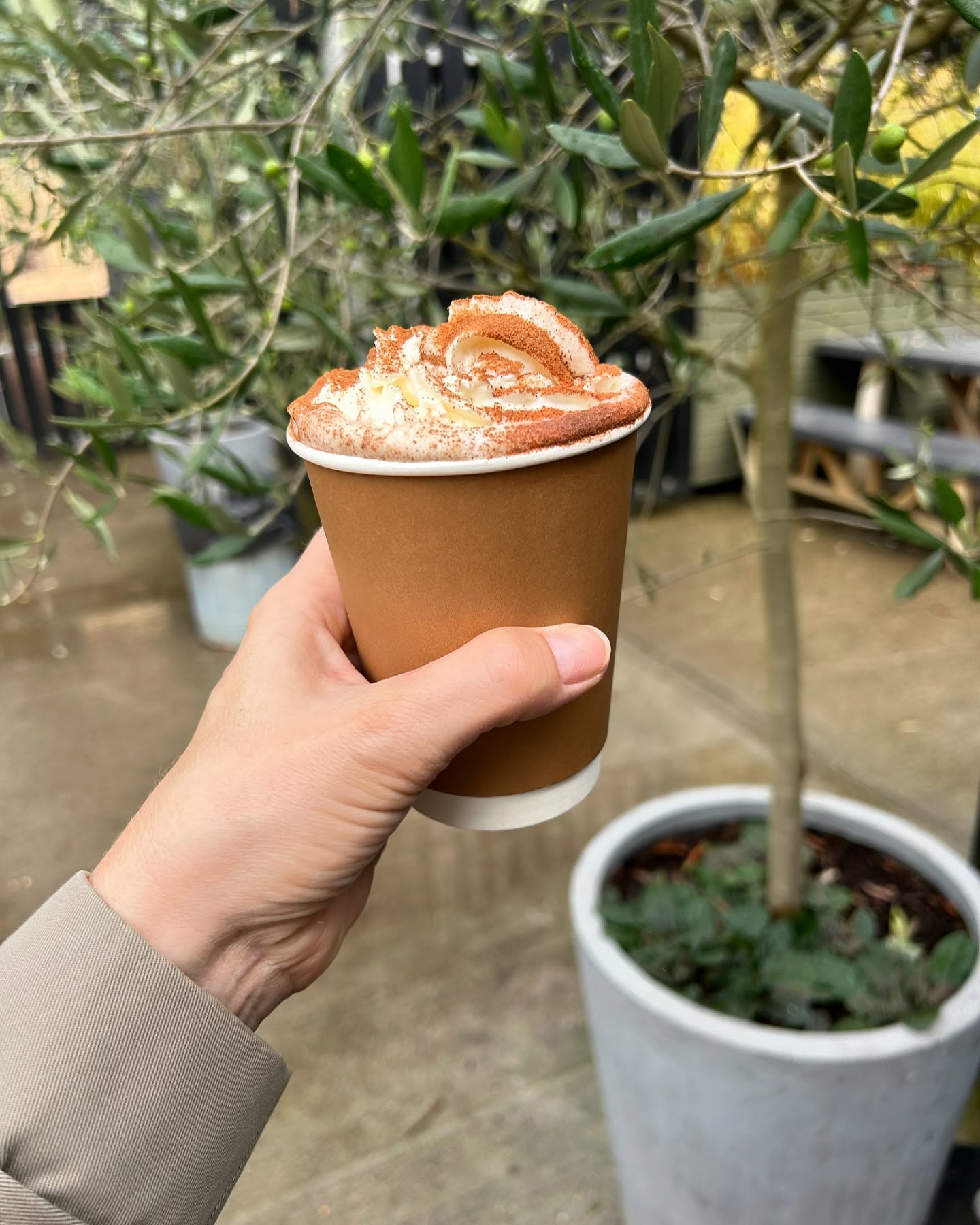 Cosy season has arrived, and so has our Pumpkin Spice Latte! 🎃🍂 Crafted with Curious Roo coffee, blended with vibrant natural spices, and topped with a swirl of whipped cream—it’s autumn in a cup.🍁