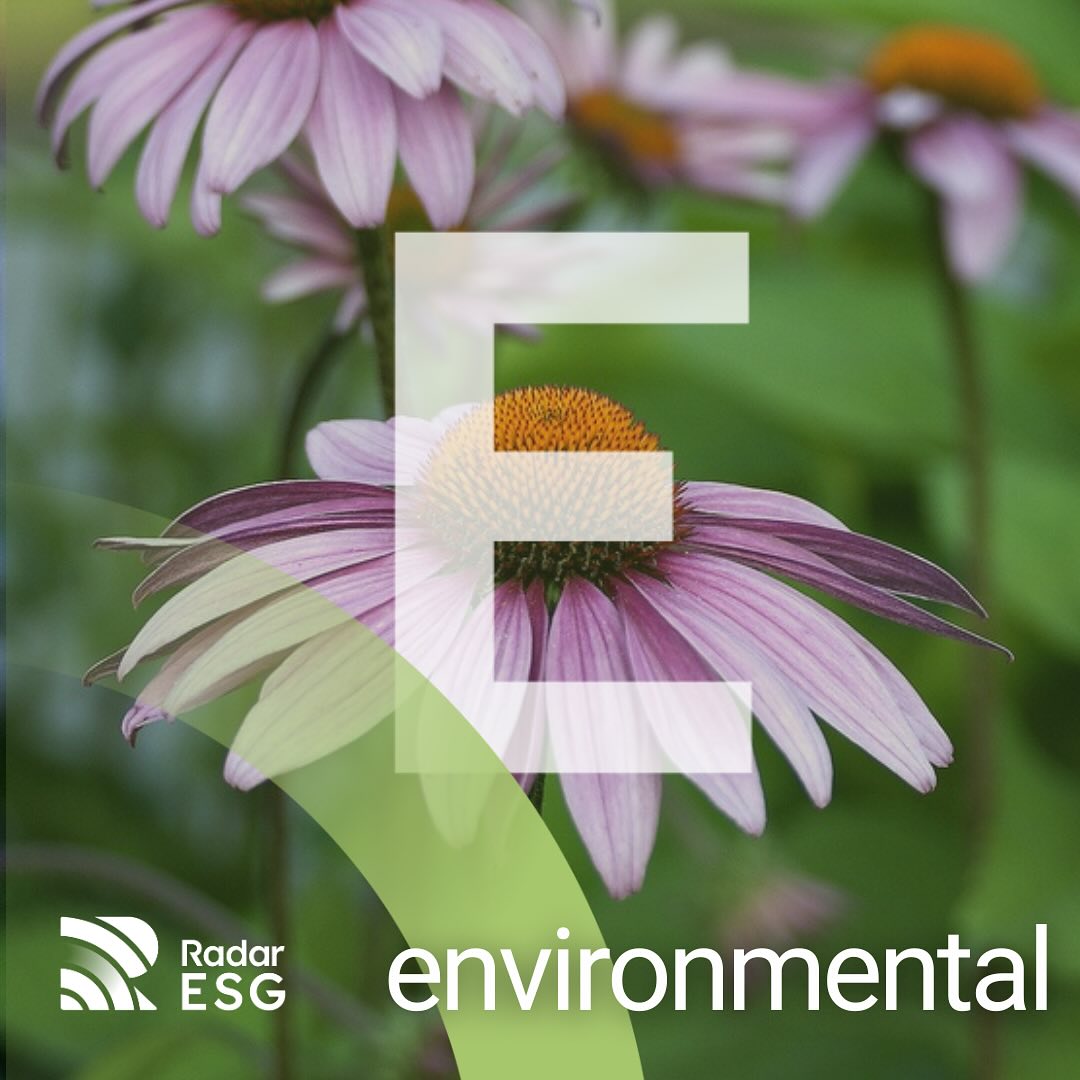 E de ESG: Environmental (Meio ambiente) – Práticas ambientais para um futuro sustentável
O ‘E’ em ESG representa o pilar ambiental, focando na relação das empresas com o meio ambiente. Isso envolve práticas para reduzir emissões de carbono, otimizar o uso de recursos naturais, gerenciar resíduos de forma eficiente e adotar fontes de energia renovável.
Adotar iniciativas ambientais estratégicas fortalece a imagem da empresa junto a consumidores e investidores, demonstrando seu compromisso com a sustentabilidade e um futuro mais consciente.
#RadarESG #ESG #Environmental #Ambiental #MeioAmbiente #VantagemCompetitiva #Business #Propósito #Reputação #Corporativo #Sustentabilidade