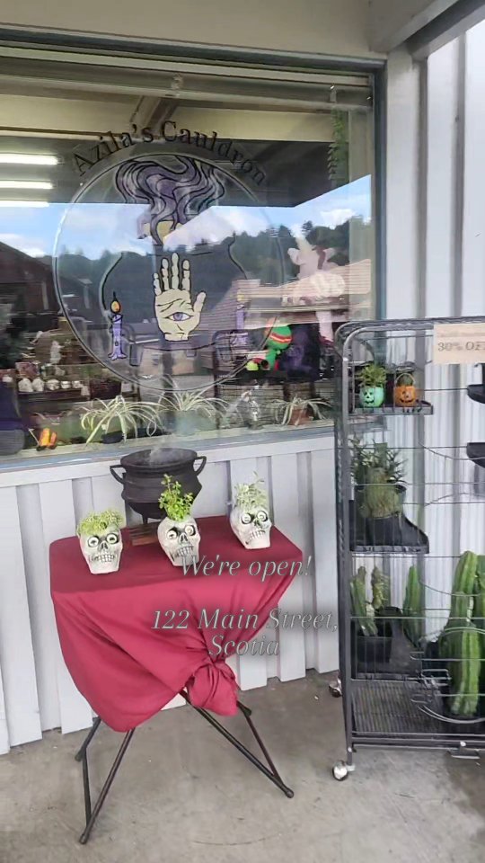 The Witchy Shop in Scotia is celebrating one year of serving our witchy community!
Come shop our selection of handcrafted items! Spell Candles, ritual oils, smoke bundles, dried herbs, jewelry, books, tarot decks, and more!
Walk-in Tarot Readings are also available!
Come see us! Hang out and let us help you create a custom Spell Jar. Bring your grimoire and do some journaling. Or just talk witchy things with us!
122 Main Street
Scotia, Ca.
#metaphysicalshop #humboldtcounty #witchyshop #witchyvibes #azilascauldron #tarotreadings #smallbusiness