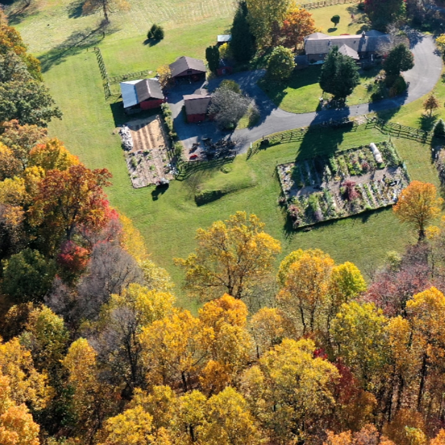 Love when Dave pops the drone up! We escaped another freeze watch! We will have blooms through mid-November at least!! Wowowow. Holy ten day forecast. Looking positively gorgeous (if a little warm). Iāll take itāthe insulated overalls will have to wait their turn!
#autumn #fall #blooms #smallfarm #flowerfarm #heirloom #mum #beauty #nature #fallfoliage #drone #dronephotography #djimavic