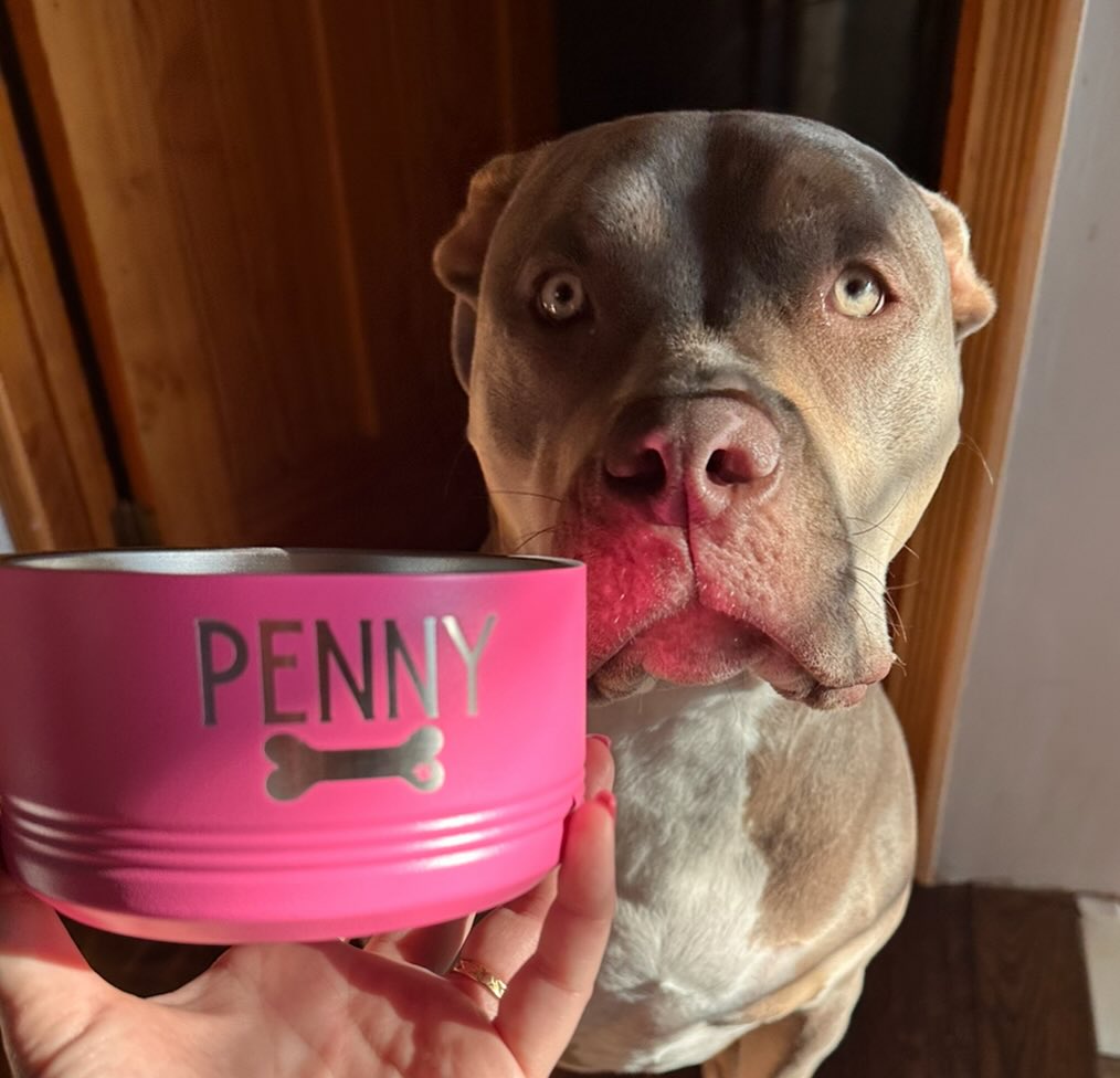 #piperpepevibes approves this #laserengraved #customdogbowl #teresaspaperie can customize any name hope Penny likes it