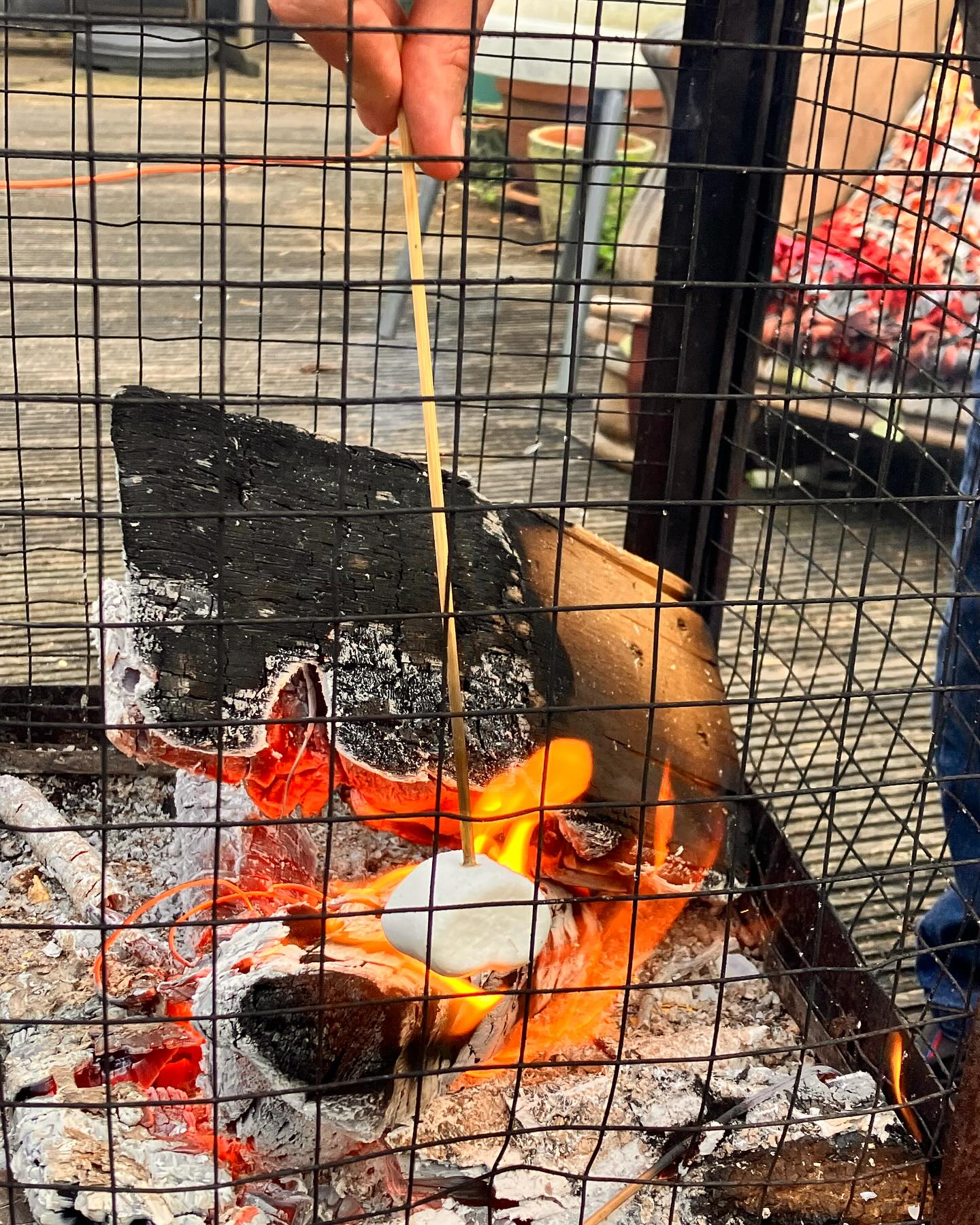 🍂 **De dagen worden korter en de temperaturen dalen, maar bij Vzw Den Teirling zorgen we voor warmte en gezelligheid met een reeks unieke winteractiviteiten!** ❄️
Hier zijn enkele evenementen om alvast naar uit te kijken:
🎃 **31/10 Halloween:** Een griezelige dag vol plezier en verrassingen. Trek je kostuum aan en vier Halloween met ons!
🎨 **Nieuwe ateliers vanaf november:** We lanceren twee gloednieuwe activiteiten: *Ratatouille*, waar we creatief aan de slag gaan in de keuken, en een *atelier textiel* voor wie van handwerk en stoffen houdt.
🖼️ **07/12 Expositie Jolanda Suizdak:** Kom het inspirerende werk van kunstenares Jolanda Suizdak bewonderen tijdens deze exclusieve tentoonstelling.
🍽️ **19/12 Kerstdiner:** Sluit het jaar in stijl af met ons gezellige kerstdiner. Laten we samen genieten van een heerlijke maaltijd en het feestelijke seizoen vieren!
Sluit je aan en beleef deze winter warme momenten samen met ons. Iedereen is welkom! 💫
#VzwDenTeirling #WinterseGezelligheid #Halloween #Ateliers #Expositie #kerstdiner