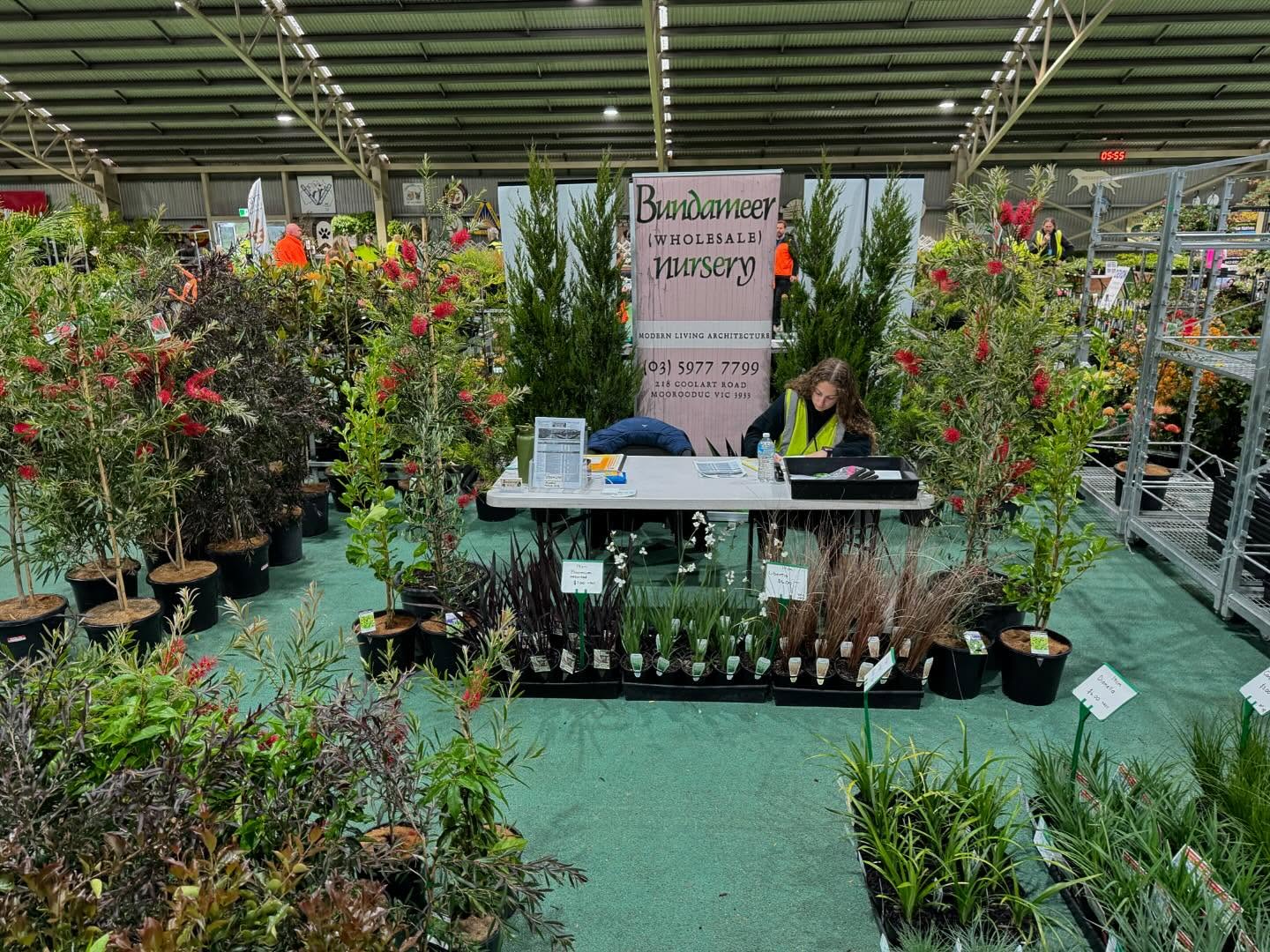 Bundameer’s stall today at our first Spring #ngivtradeday - quality hedging/ Screening and landscape plants!
.
.
#LandscapePlants #WholesalePlants #AustralianLandscaping #PlantWholesale #GardenSupplies #PlantNursery #LandscapingAustralia #NativePlants #GardenDesign #GardeningAustralia #PlantLovers#LandscapingSupplies #OutdoorLiving #GardenInspiration #SustainableLandscaping #GardenWholesale #LandscapeDesign #PlantsofAustralia #GardenDecor #PlantLife