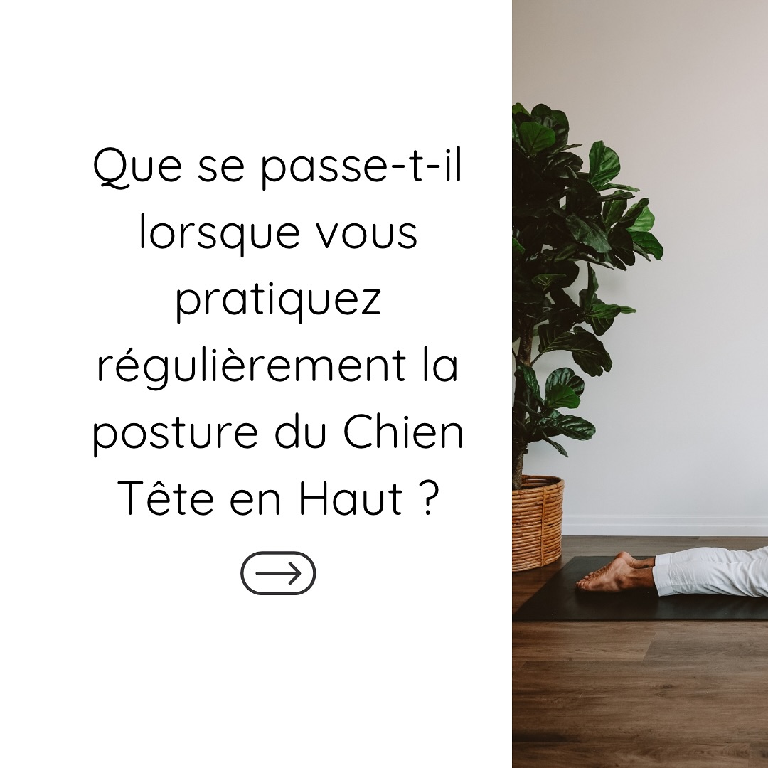 Élevez-vous dans la posture du Chien Tête en Haut, où chaque mouvement renforce le corps, ouvre le cœur et élève l’esprit. Une pratique régulière qui unit l’énergie et la grâce, vous ancrant tout en vous élevant. 🌿✨ Prêt à ressentir la transformation ? Rejoignez-nous à Yogshala !
Rise into Upward Dog, where every lift strengthens the body, opens the heart, and elevates the spirit. A regular practice that unites energy and grace, grounding you while lifting you higher. 🌿✨ Ready to feel the transformation? Join us at Yogshala!
#YogaSpirituel #experienceyogshala #ÉlévationIntérieure #RessentezLeChangement”
