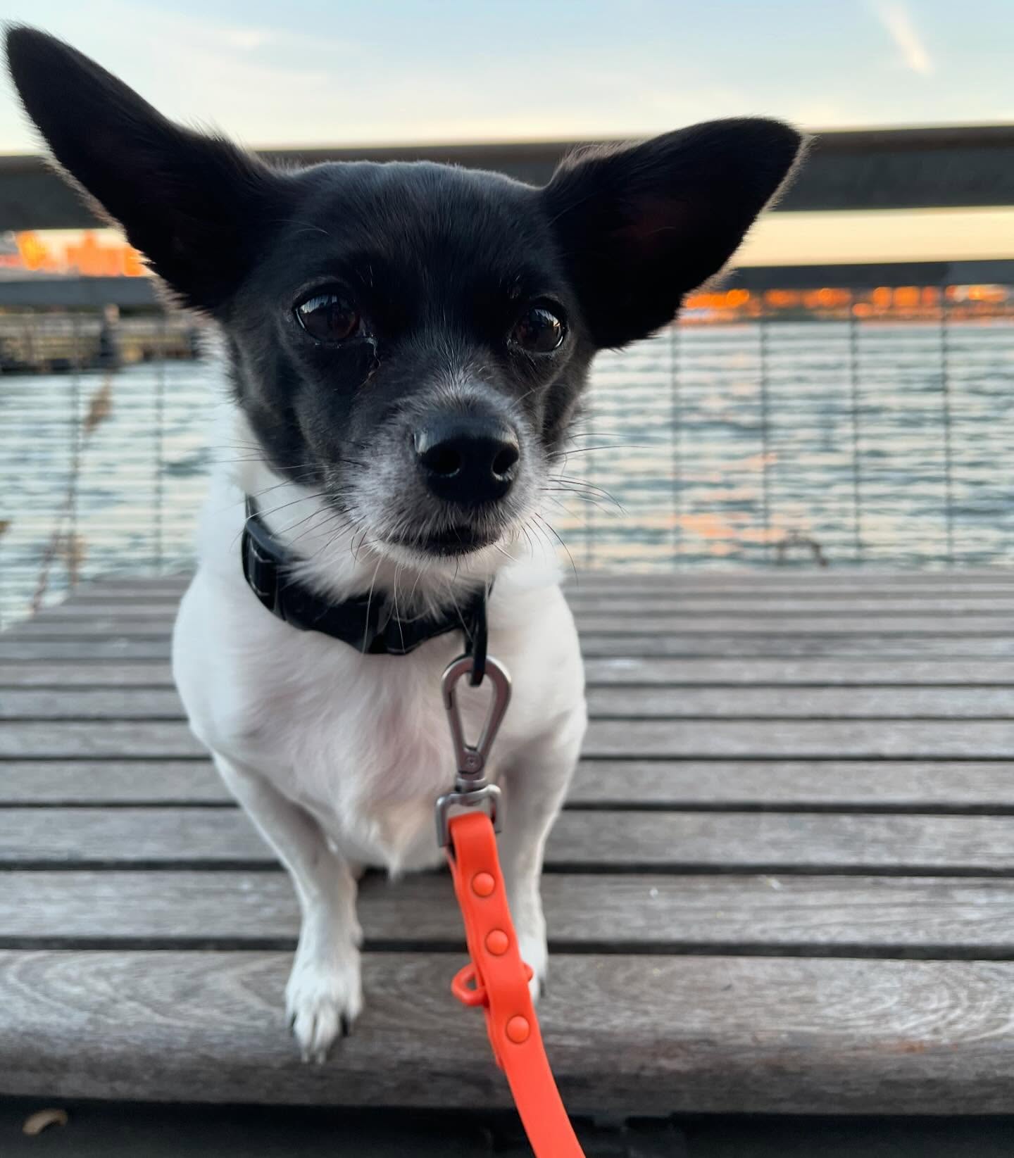 only the look of love
…
for a treat on the other side of the camera
