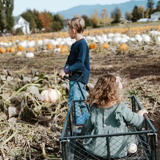 We love this season! What’s your favorite pumpkin patch? 🎃
