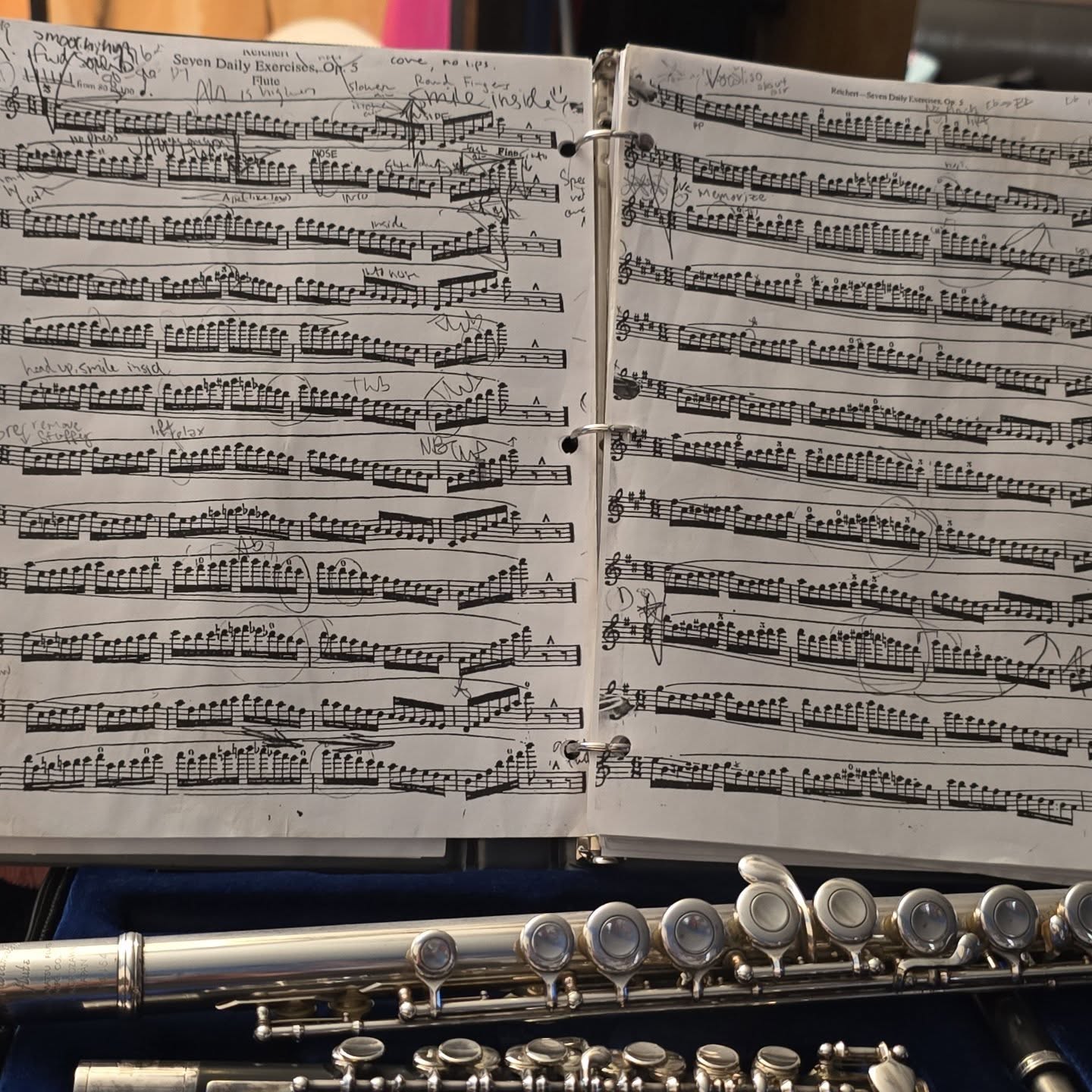 My PTSD and Music
This year, I have observed how my PTSD arrives in every practice session. Sometimes, it arrives as physical pain, sometimes tense muscles, sometimes as intense feelings of panic. It becomes more intense as I approach performance situations-- like lessons or recitals.
As of lately, my practice sessions have become more of a grounding exercise rather an expectation or a reason for productivity. In that mindset change,it has improved my playing ability as a whole. Which has been an interesting experience
#performanceanxiety #musician