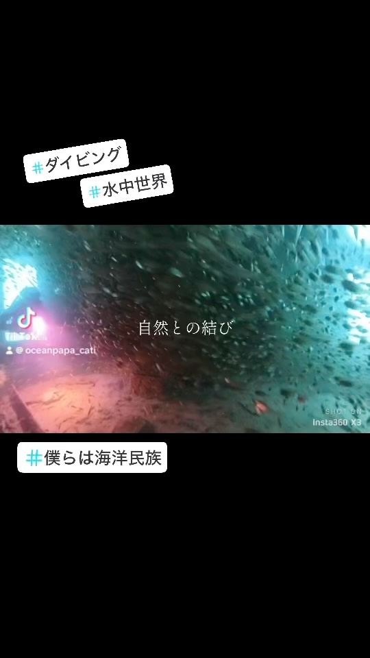 #白浜 #ダイビング #沈船
#自然との結びを大切に
#水中世界
#ブルーオアフ
#インカレサークル
#神戸大学