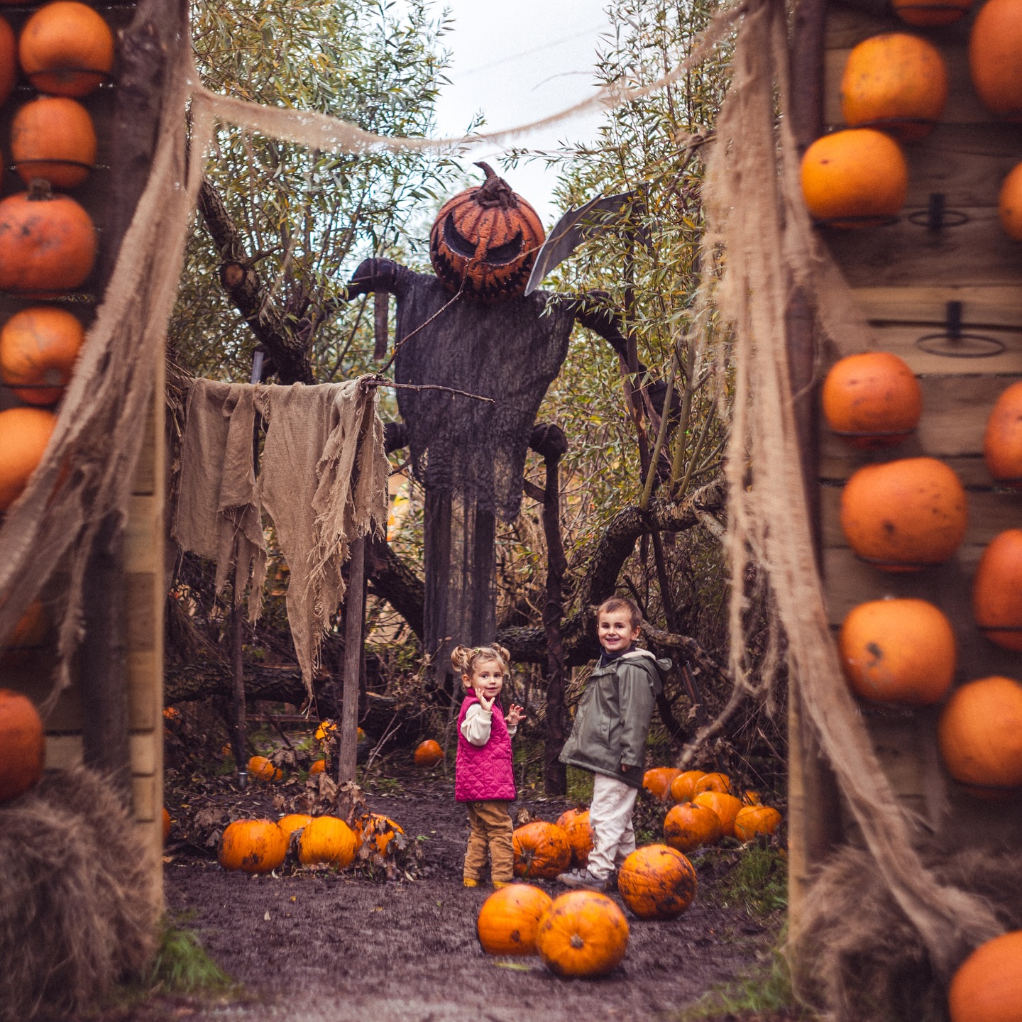 Happy Halloween, pumpkins ๐ #halloween2024๐#hobbledownheath