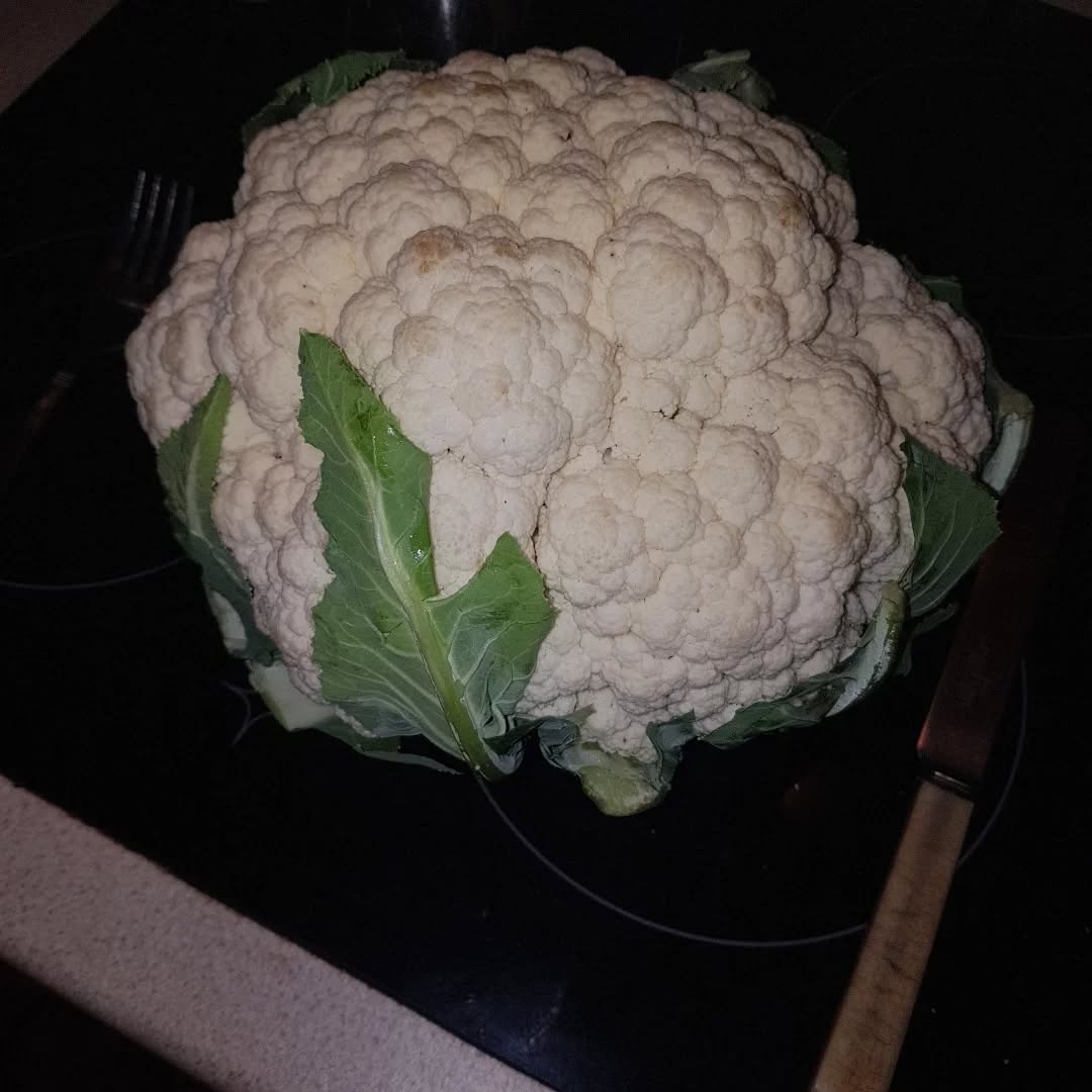 Cor blimey! Look at the size of it! 👀
A Lincolnshire-farmer-grown "large cauliflower" .. from Asda.
Try to use the local fruit-n-veg shops & farm shops as much as poss rather than supermarket.. but this is a bit of a corker! 🤣
#backbritishfarmers #bestinshow #cauliflowers #lookatthesizeofit #cauliflowerrice