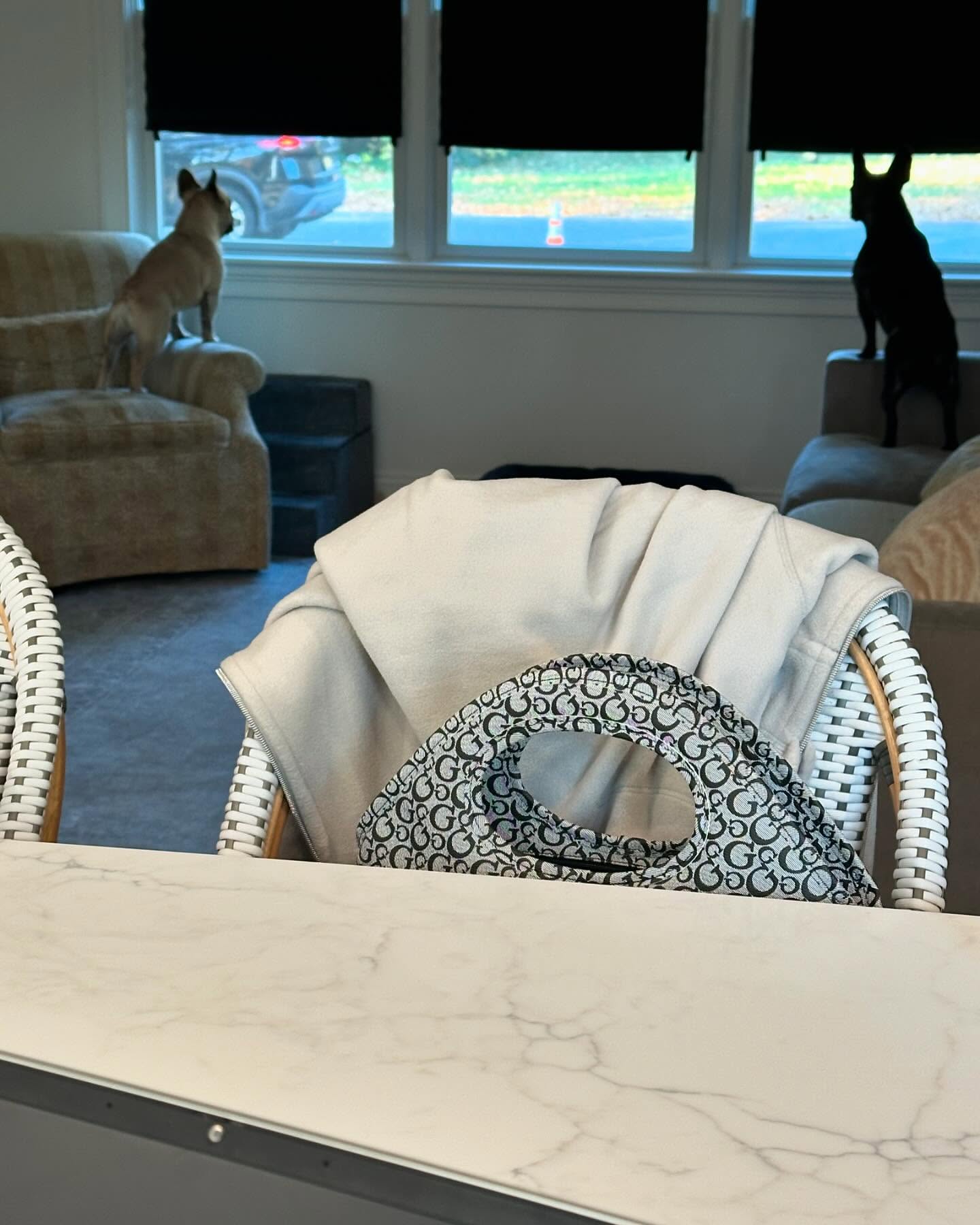 Just two pups waiting for their walk ❤️❤️