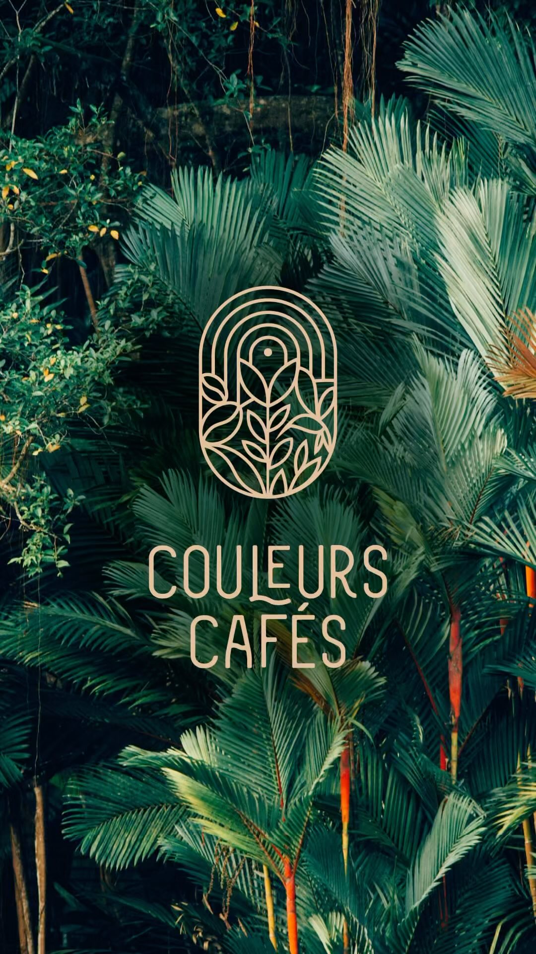 ✨ Nouvelle identité visuelle pour @couleurs.cafes à Luisant ! ✨
J’ai eu le plaisir de concevoir l’identité visuelle de cette nouvelle boutique dédiée aux amateurs de thé et de café. ☕🍃
Ce logo incarne pleinement l’univers de **Couleurs Cafés** grâce à des éléments symboliques : des feuilles de thé, des grains de café, et un colibri qui évoque l’exotisme et la précision. Le design en **line art** assure une harmonie visuelle moderne et intemporelle, reflétant l’élégance et la convivialité de la marque.
Un immense merci à Sandrine et Gilles pour m’avoir fait voyager à travers ce beau projet, ainsi qu’à Quitterie Chailley pour la mise en contact et son superbe travail de design d’intérieur, qui apporte une dimension supplémentaire à l’ambiance de la boutique.
Découvrez Couleurs Cafés à Luisant et laissez-vous charmer par cet espace unique. 🌿
#IdentitéVisuelle #DesignGraphique #CouleursCafés #Luisant #LineArt #Thé #Café #Branding #DesignIntérieur