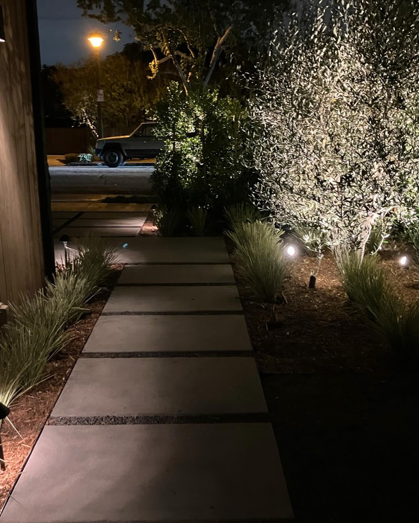 Lighting is so important in landscape architecture. It allows us to create a sense of drama by highlighting specific architectural elements, trees, or other landscape features. Here are a few night shots of one of our recently completed projects in Culver City.