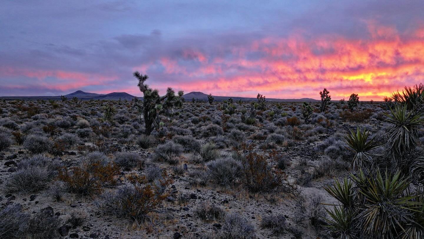Mojave Desert sunrise