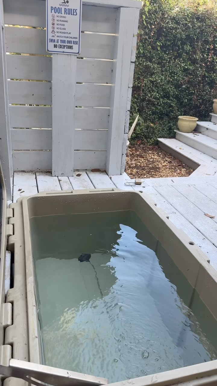 If you’re into wellness, you’ll love our Brunswick Airbnb! Dive into our ice bath set at a refreshing 36°F, perfect for easing muscle soreness, boosting circulation, and lifting your mood. Just a few minutes in and you’ll feel rejuvenated! 💪❄️
Remember to rinse off before your dip, and keep it tidy with our handy net for any leaves. Ready to embrace the chill? Your perfect retreat awaits! 🛁
#BrunswickAirbnb #WellnessRetreat #IceBathExperience #TakeThePlunge #icebath #icebathbenefits #icebath