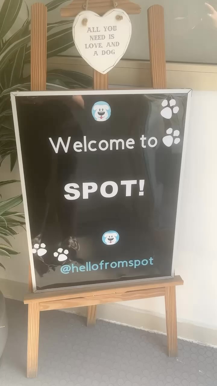 YOU NEED TO SEE THIS 🩵
We will give away nearly AED 50,000.00 in the month of December as we get a little giddy around Christmas 🎅🏼 🎄
All you’ve got to do…is turn up 🩵✨
#dubaidogs #dogsindubai #dubai #mydubai #dogs #nyc #hellofromspot #boarding #grooming #welovedogs #dogsofdubai #dubaidog #doggieboarding #doggiedaycare #doggieboarding #dogdaycare #dogdays #uaedogs #dxbdogs #everydayawesome